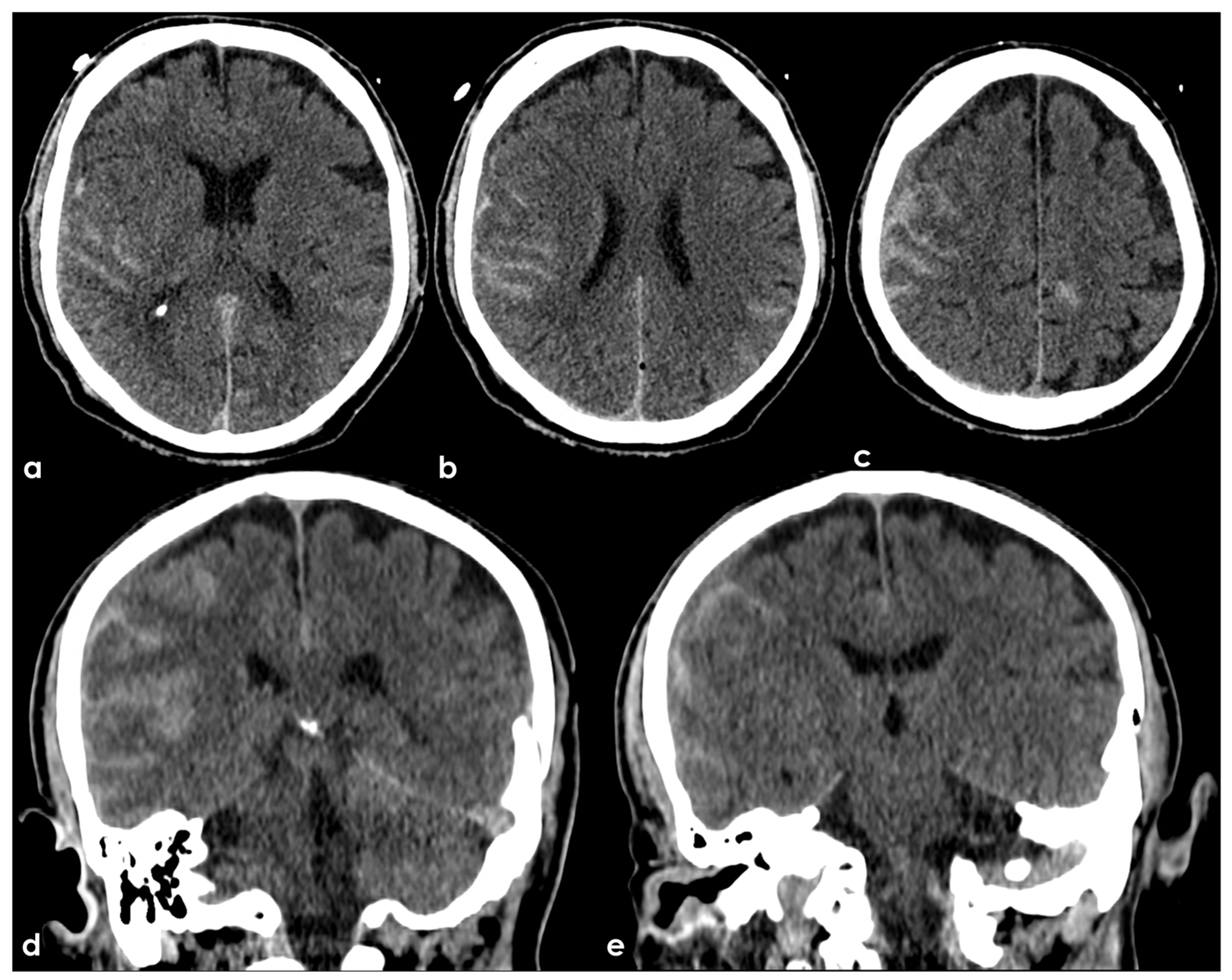 Biomedicines 13 00881 g001
