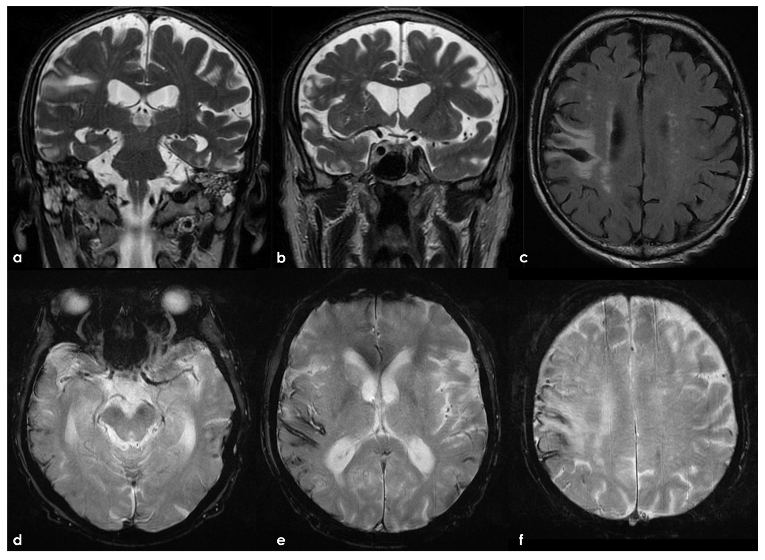 Biomedicines 13 00881 g002