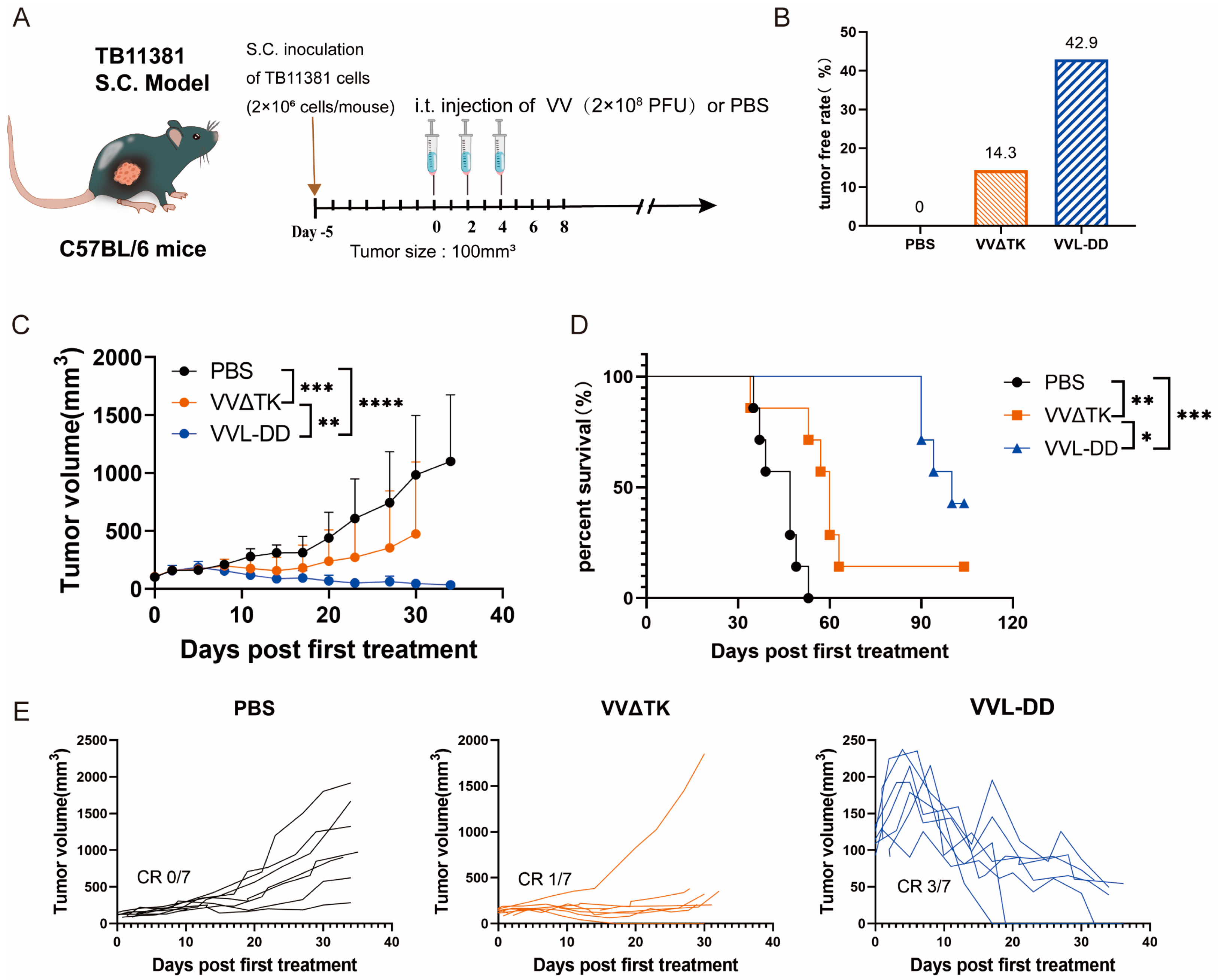 Biomedicines 13 00882 g001