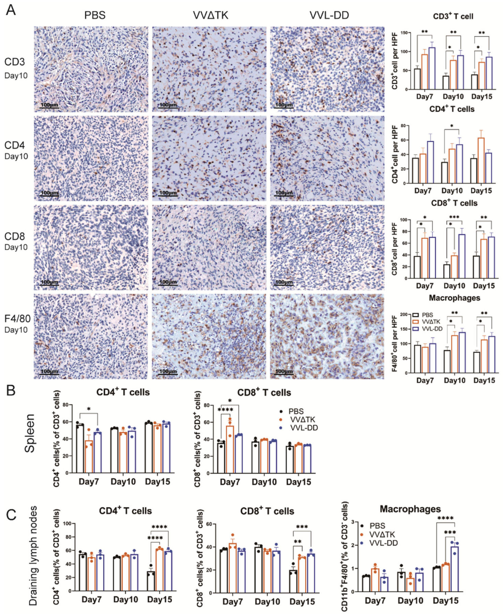Biomedicines 13 00882 g002