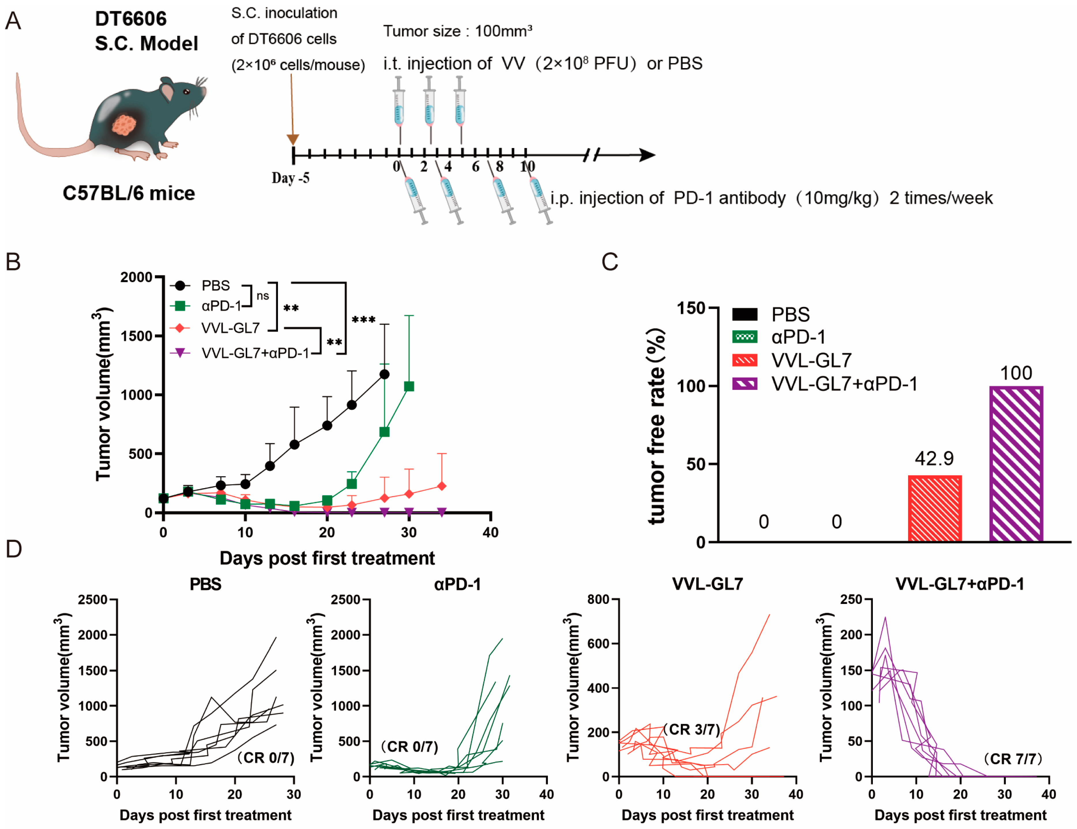 Biomedicines 13 00882 g005