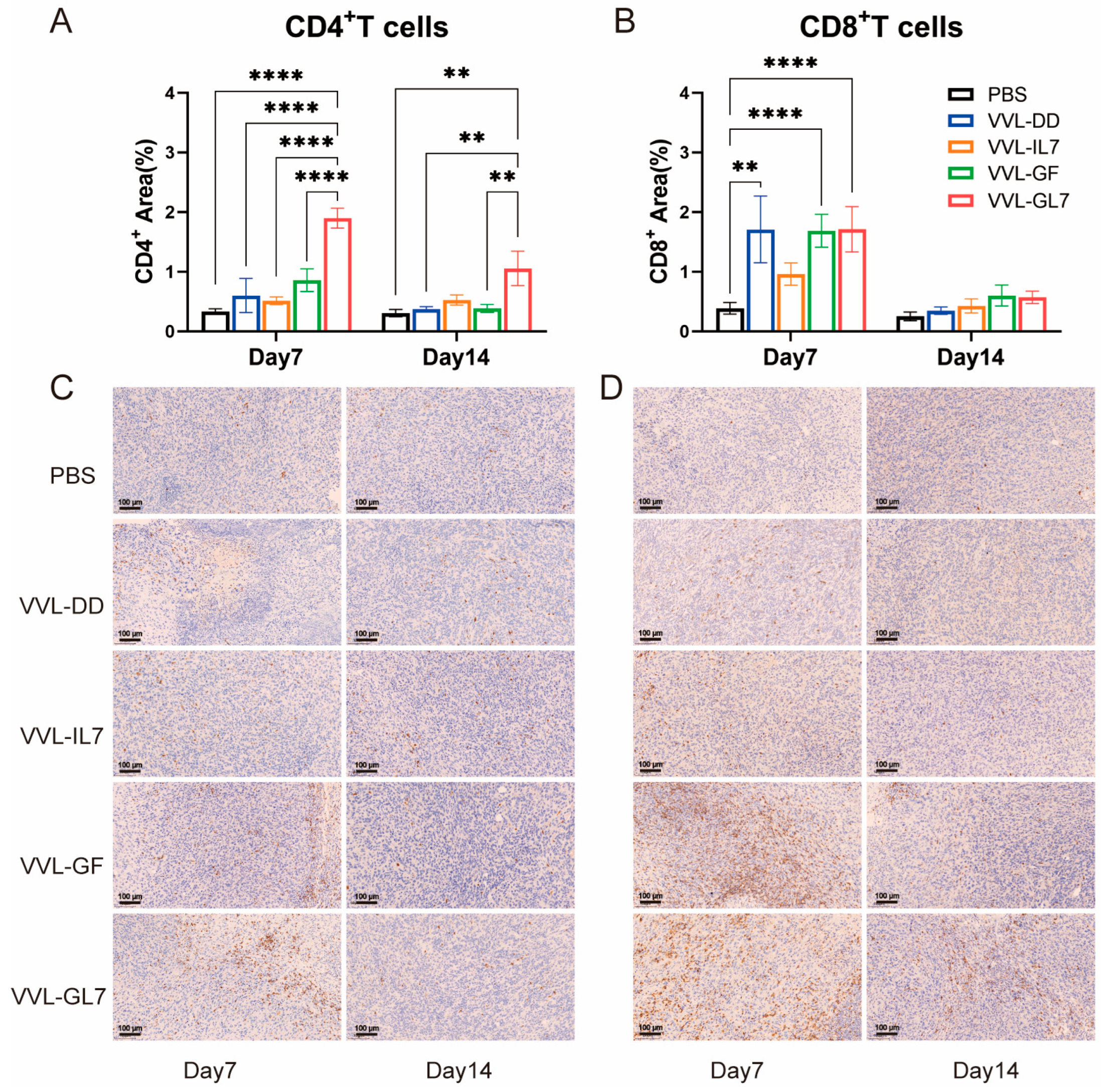 Biomedicines 13 00882 g007