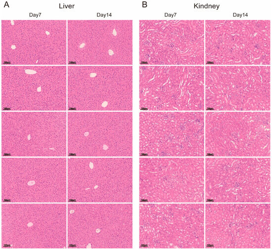 Biomedicines 13 00882 g0a1