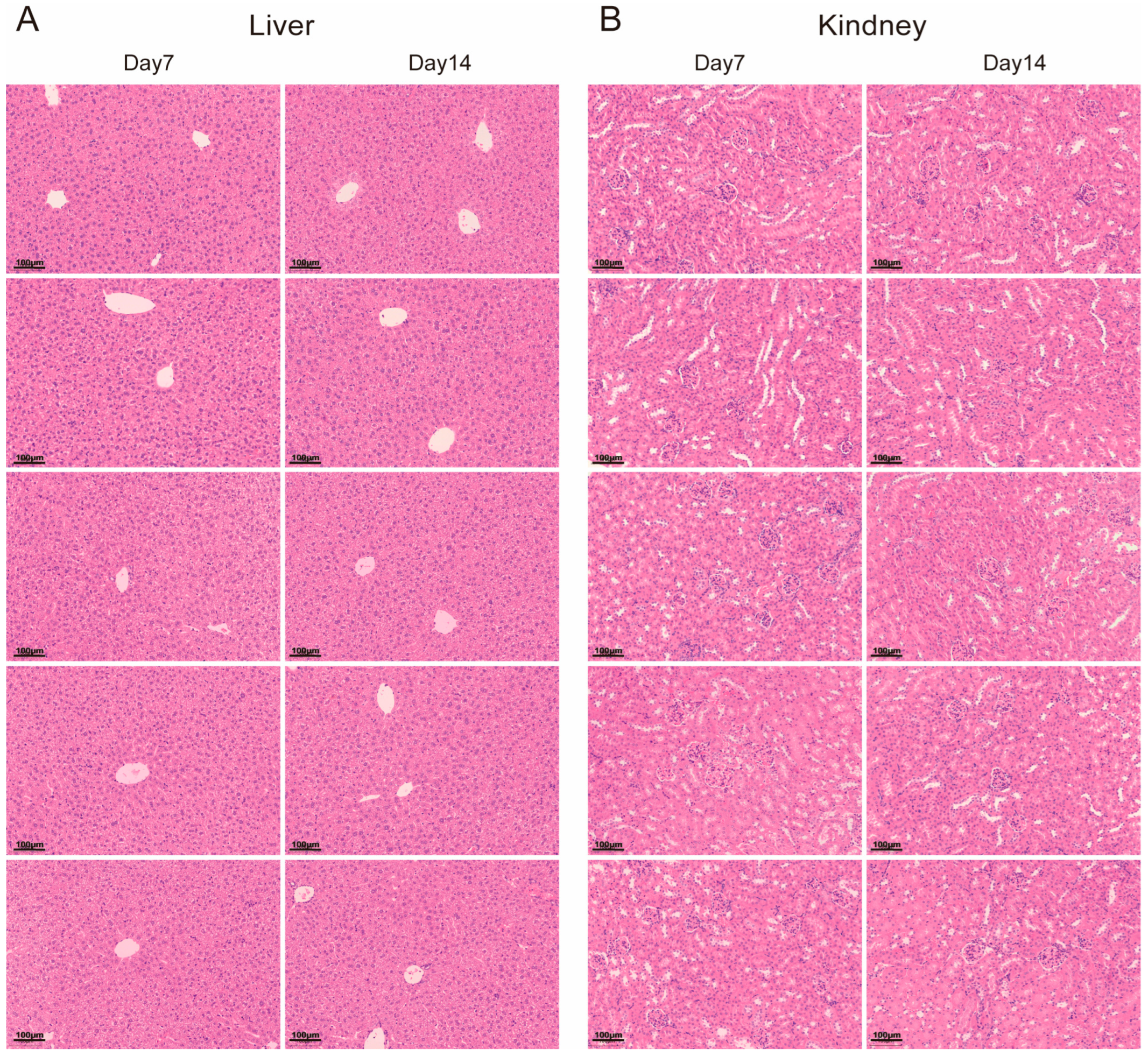 Biomedicines 13 00882 g0a1