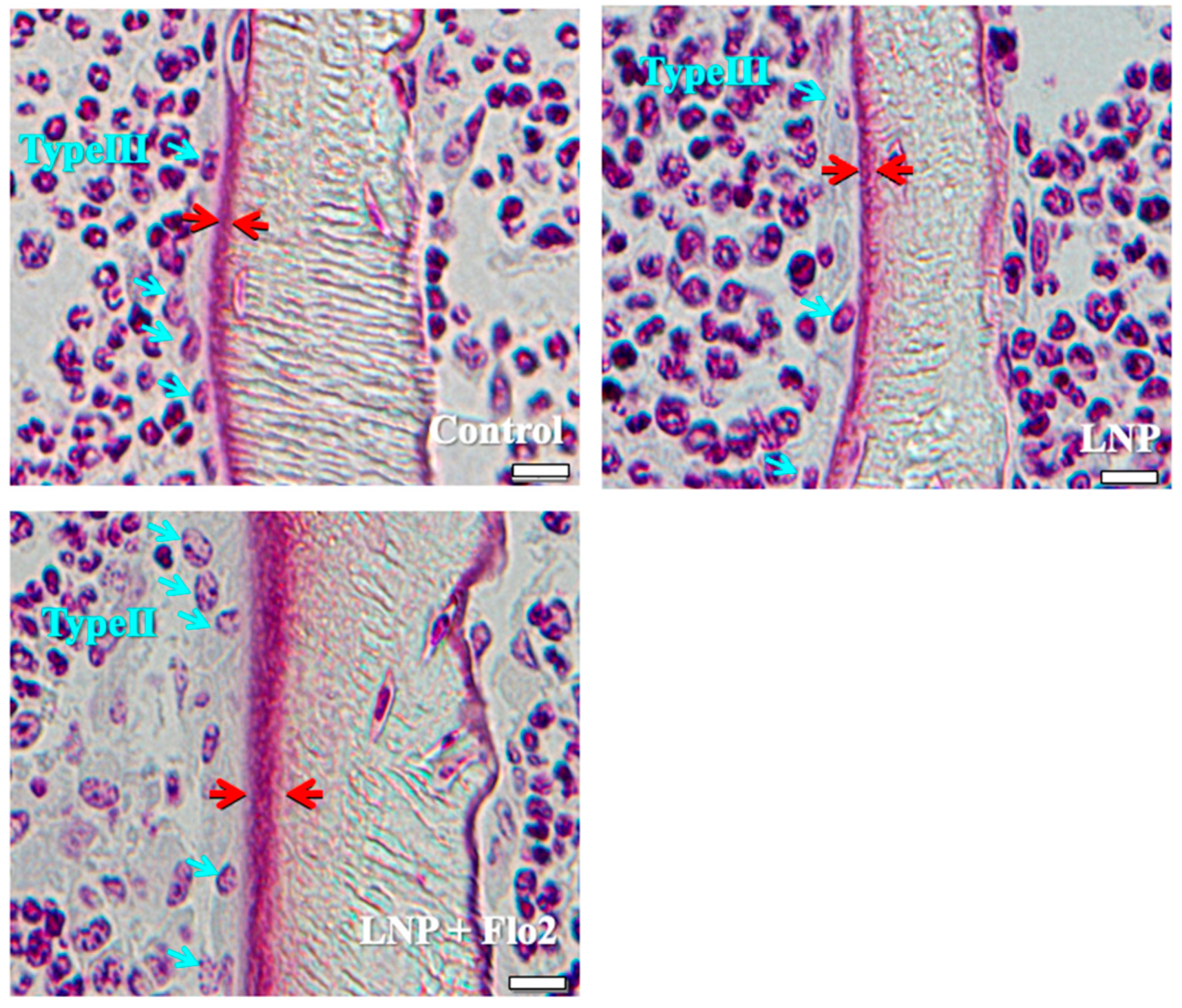 Biomedicines 13 00883 g002