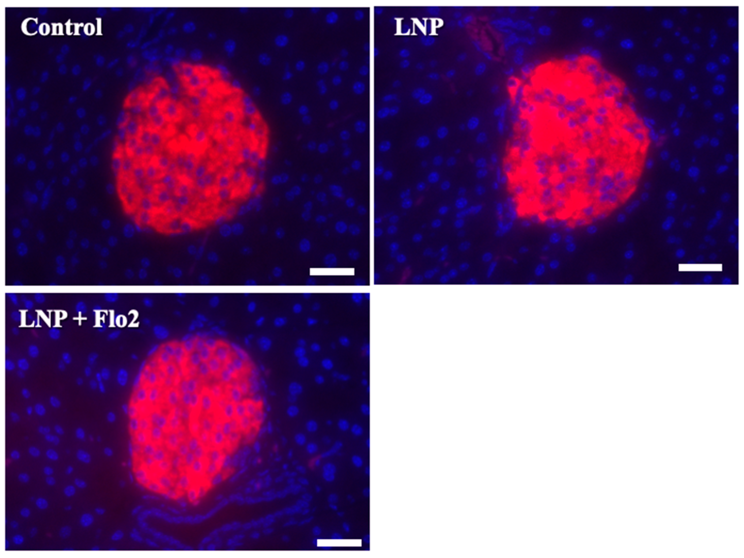 Biomedicines 13 00883 g006