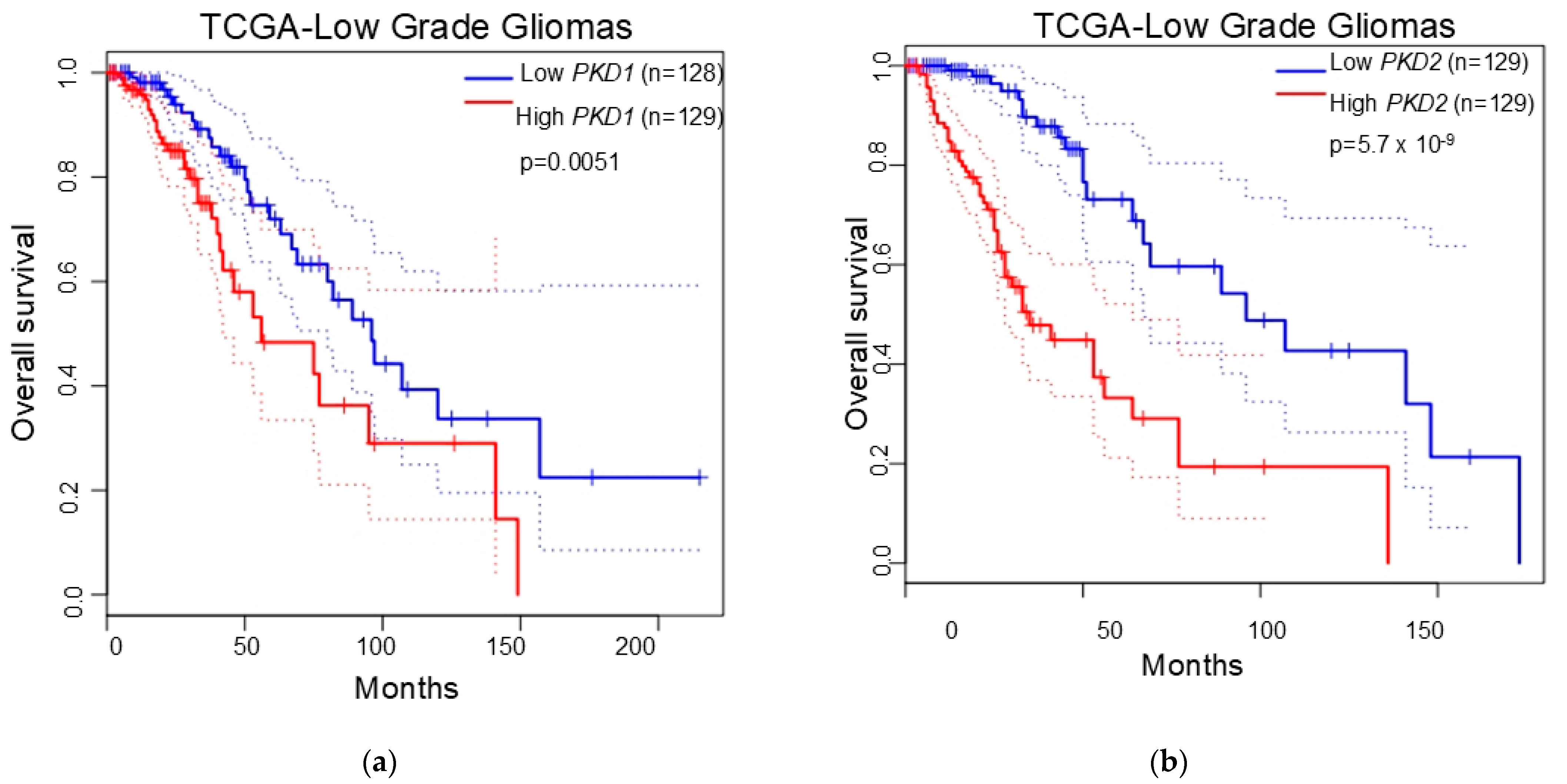Biomedicines 13 00884 g003