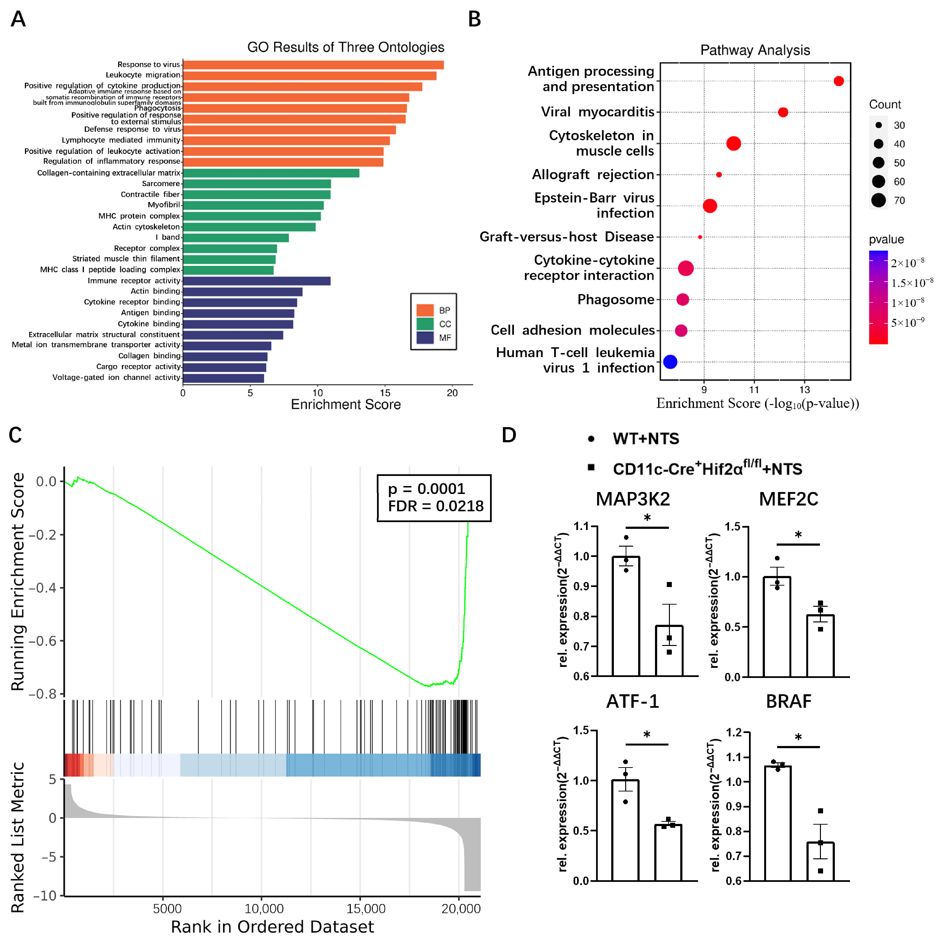 Biomedicines 13 00888 g003
