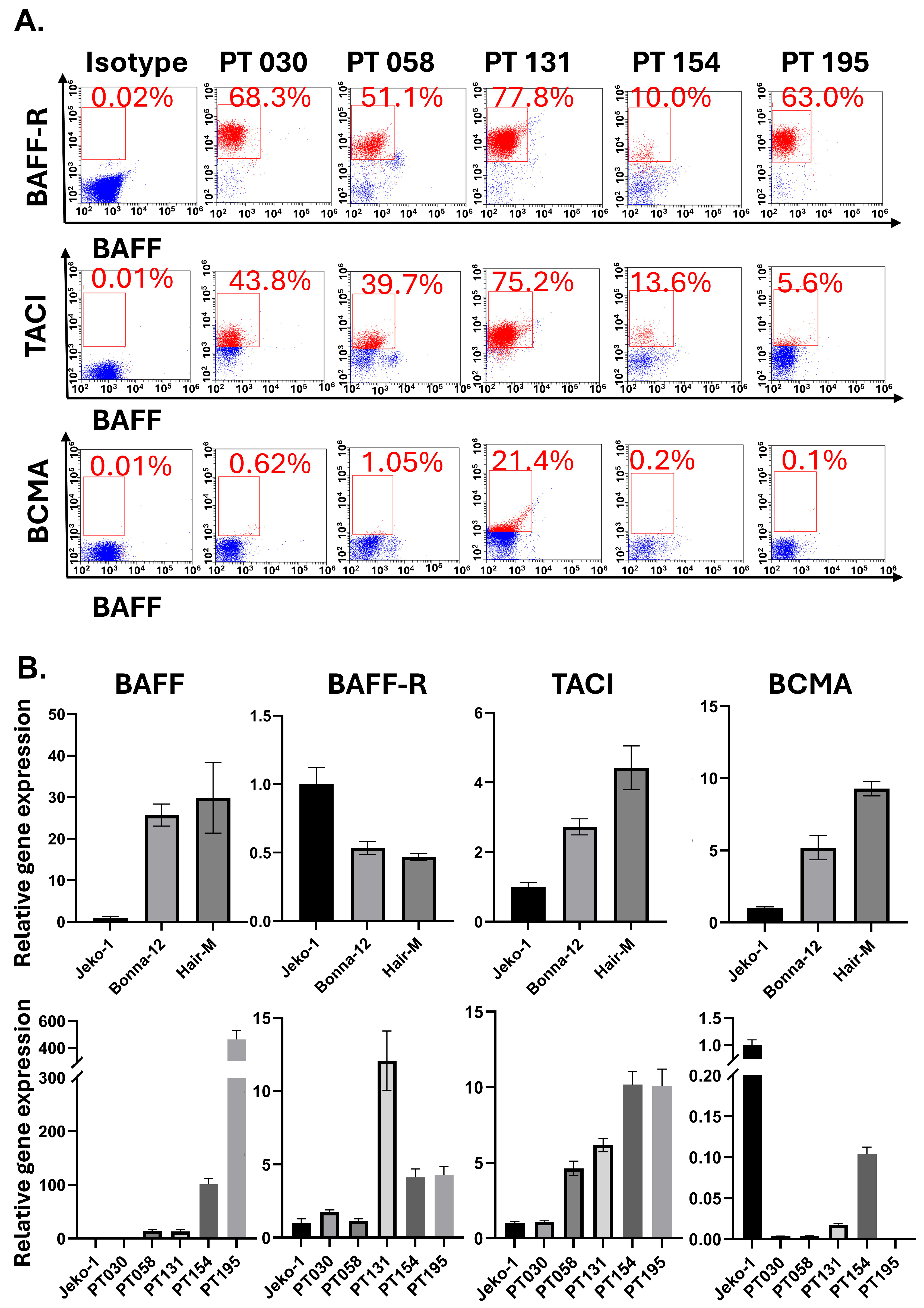 Biomedicines 13 00890 g001