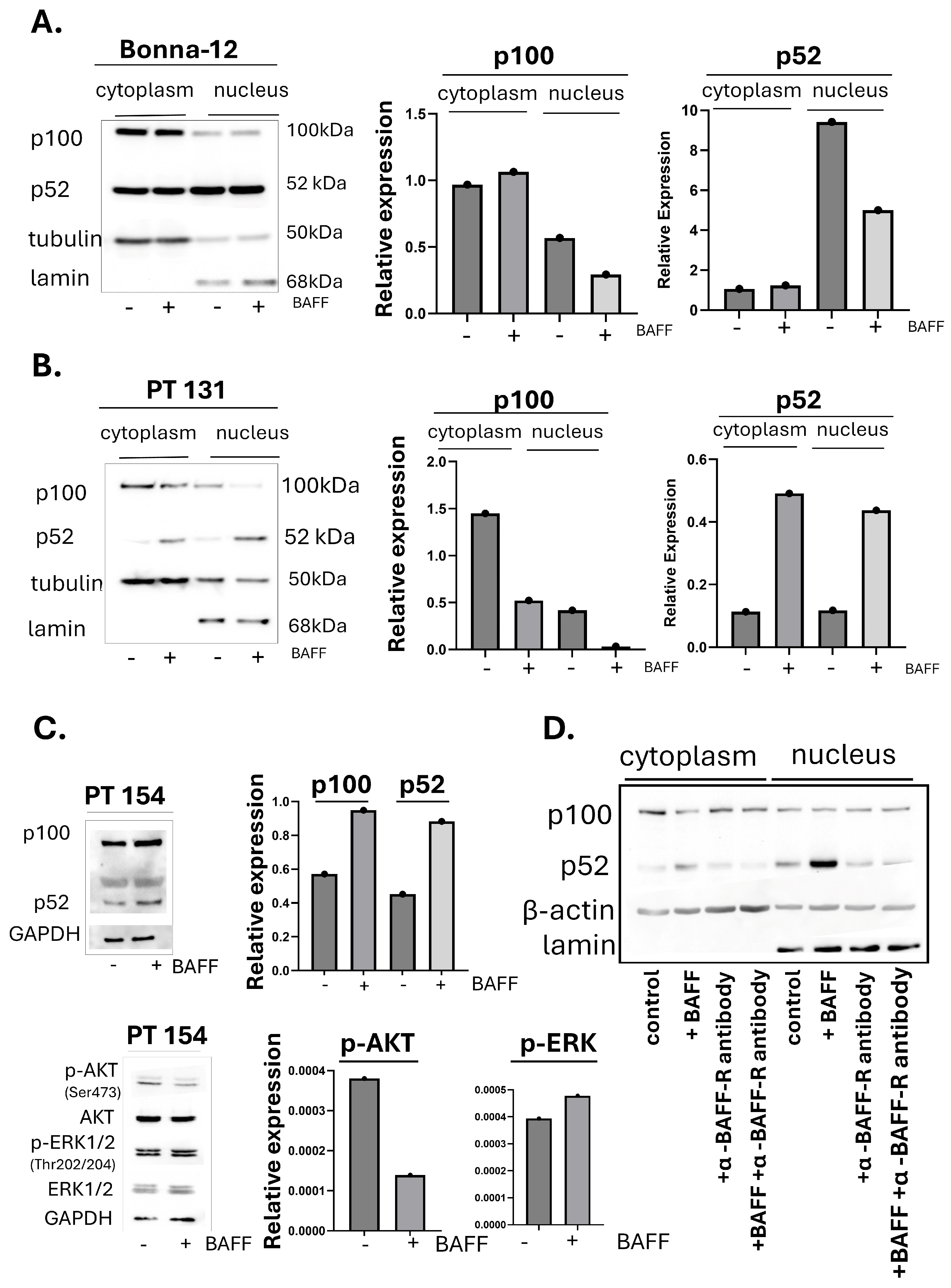 Biomedicines 13 00890 g002