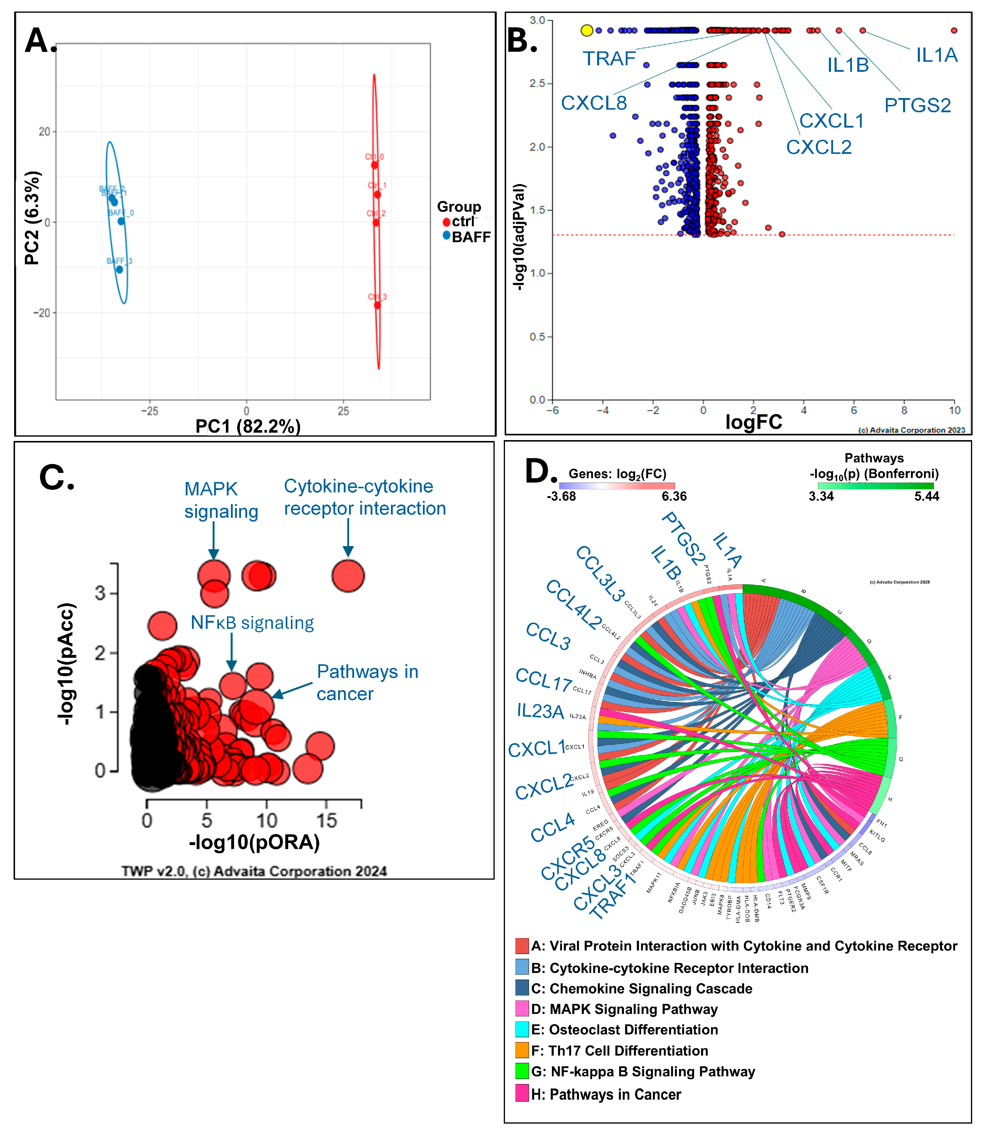 Biomedicines 13 00890 g003