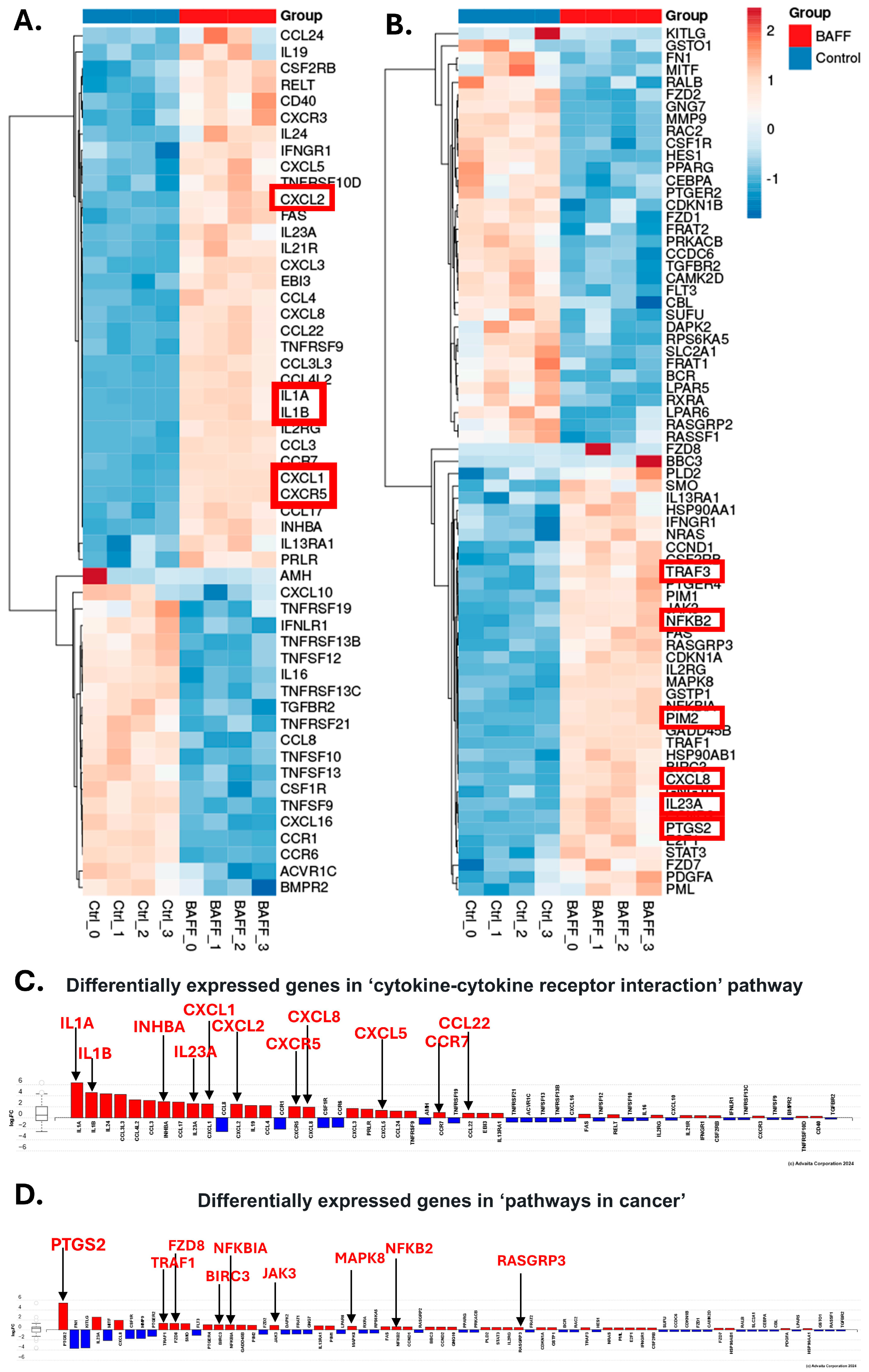 Biomedicines 13 00890 g004