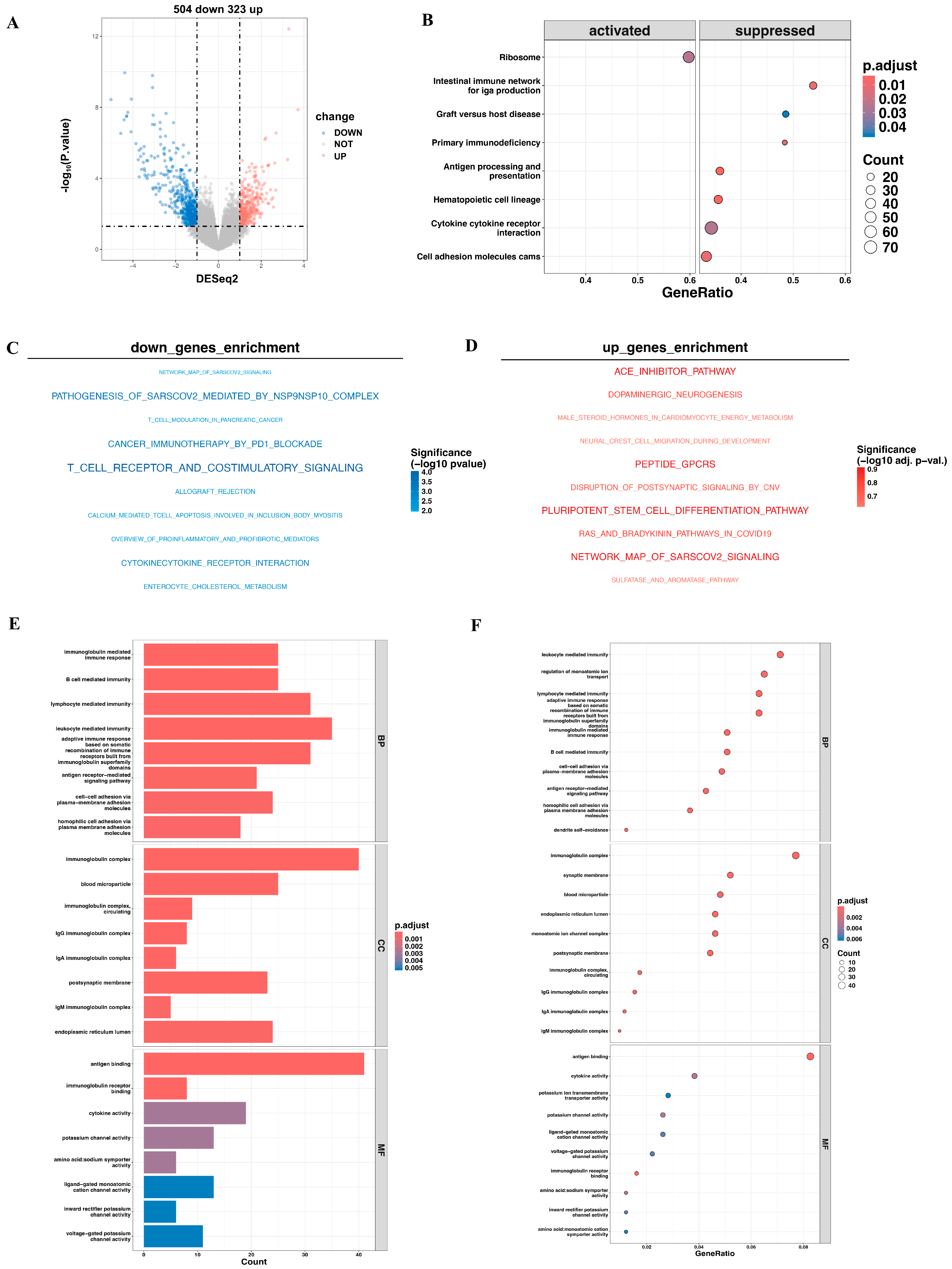 Biomedicines 13 00894 g004