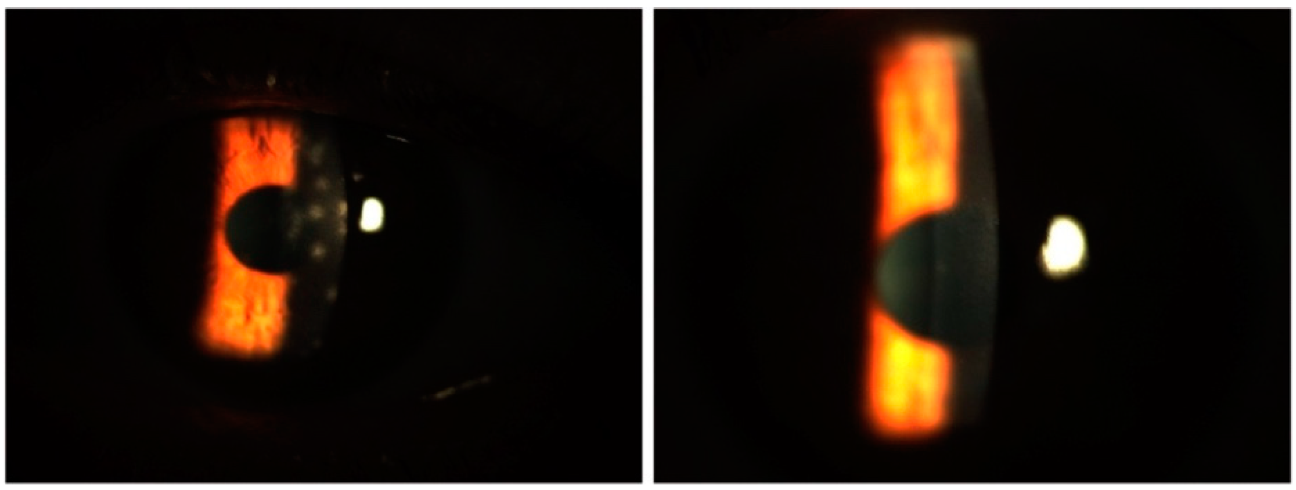 Biomedicines 13 00895 g005