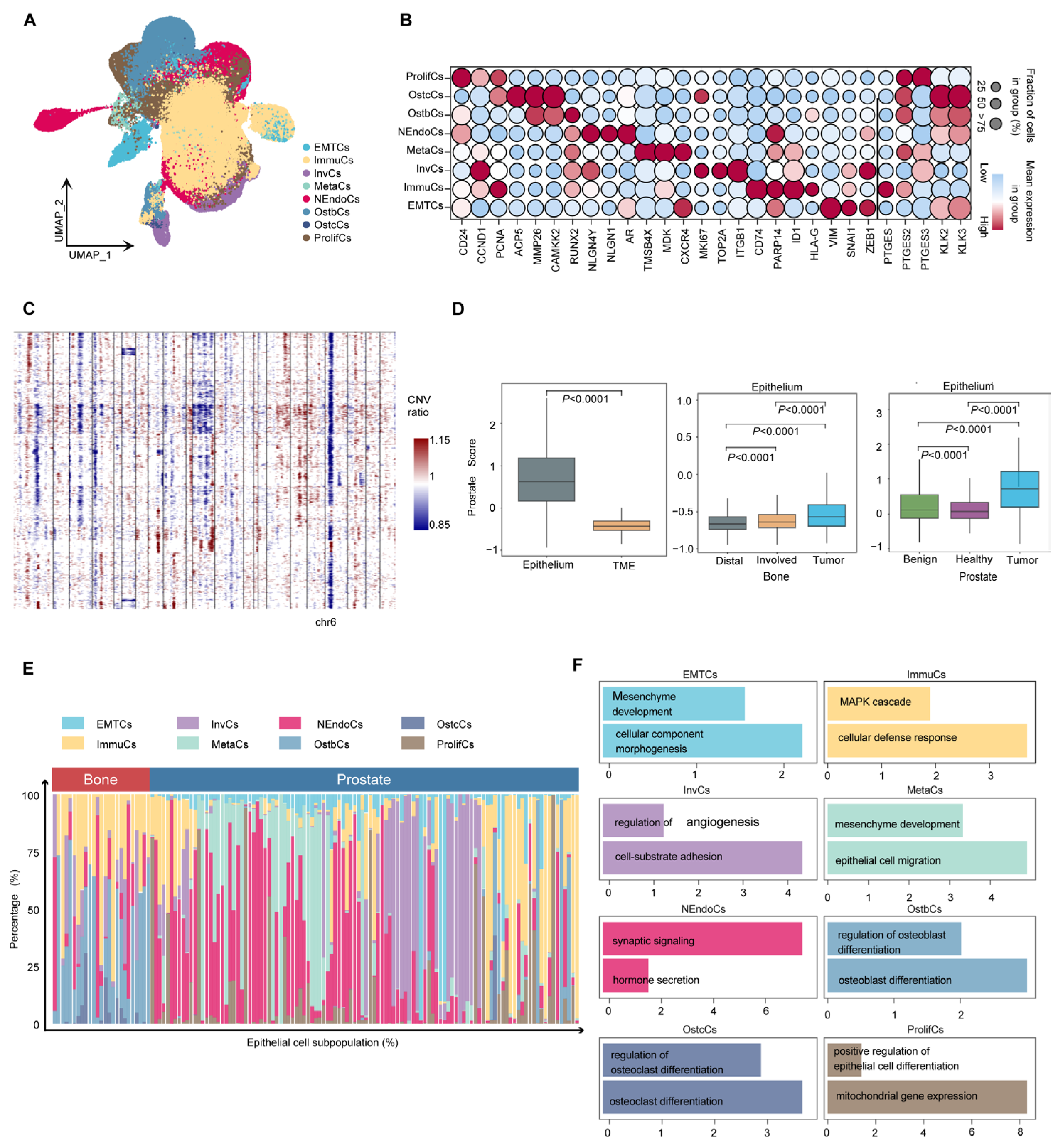 Biomedicines 13 00909 g003