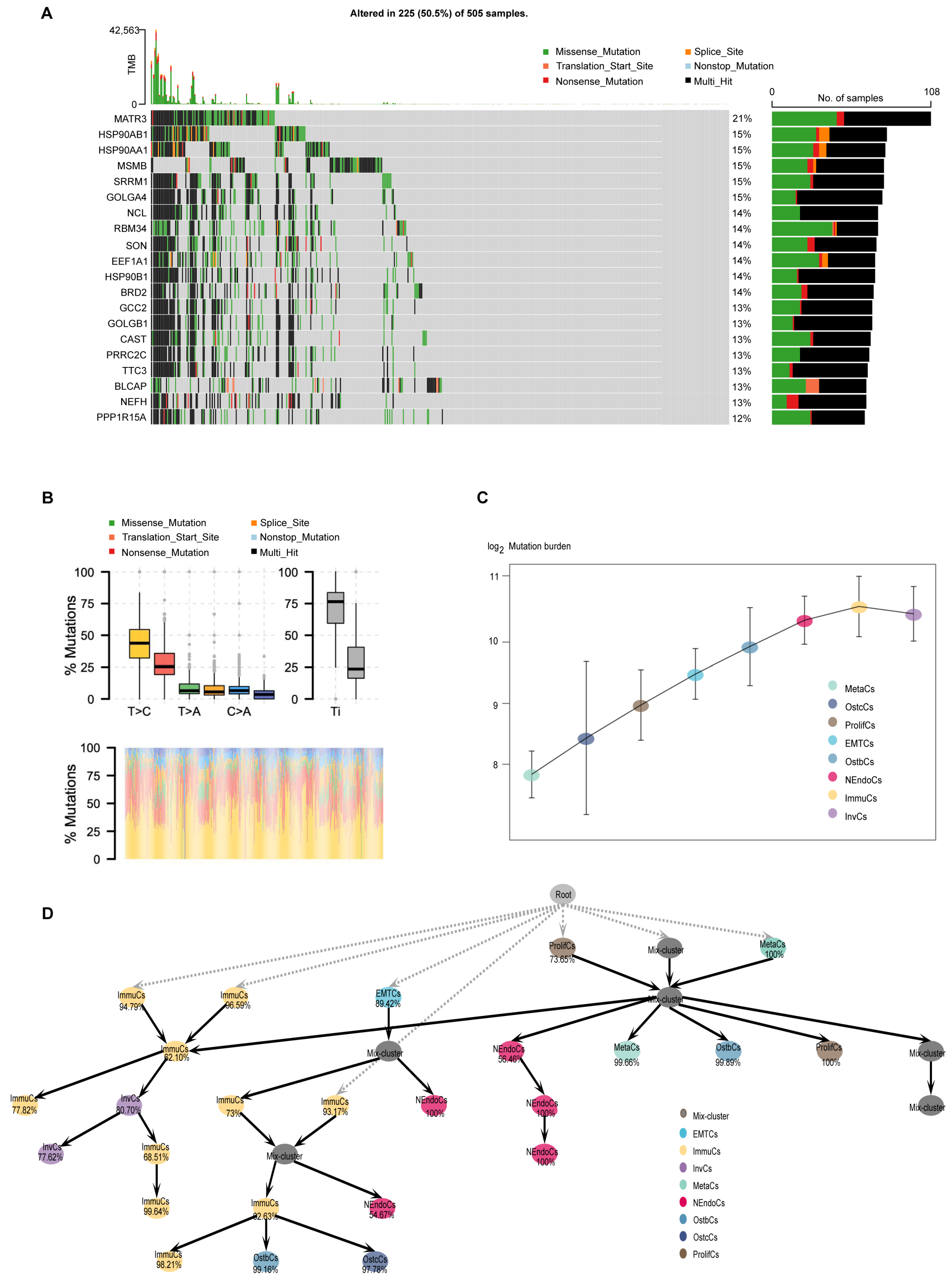 Biomedicines 13 00909 g005