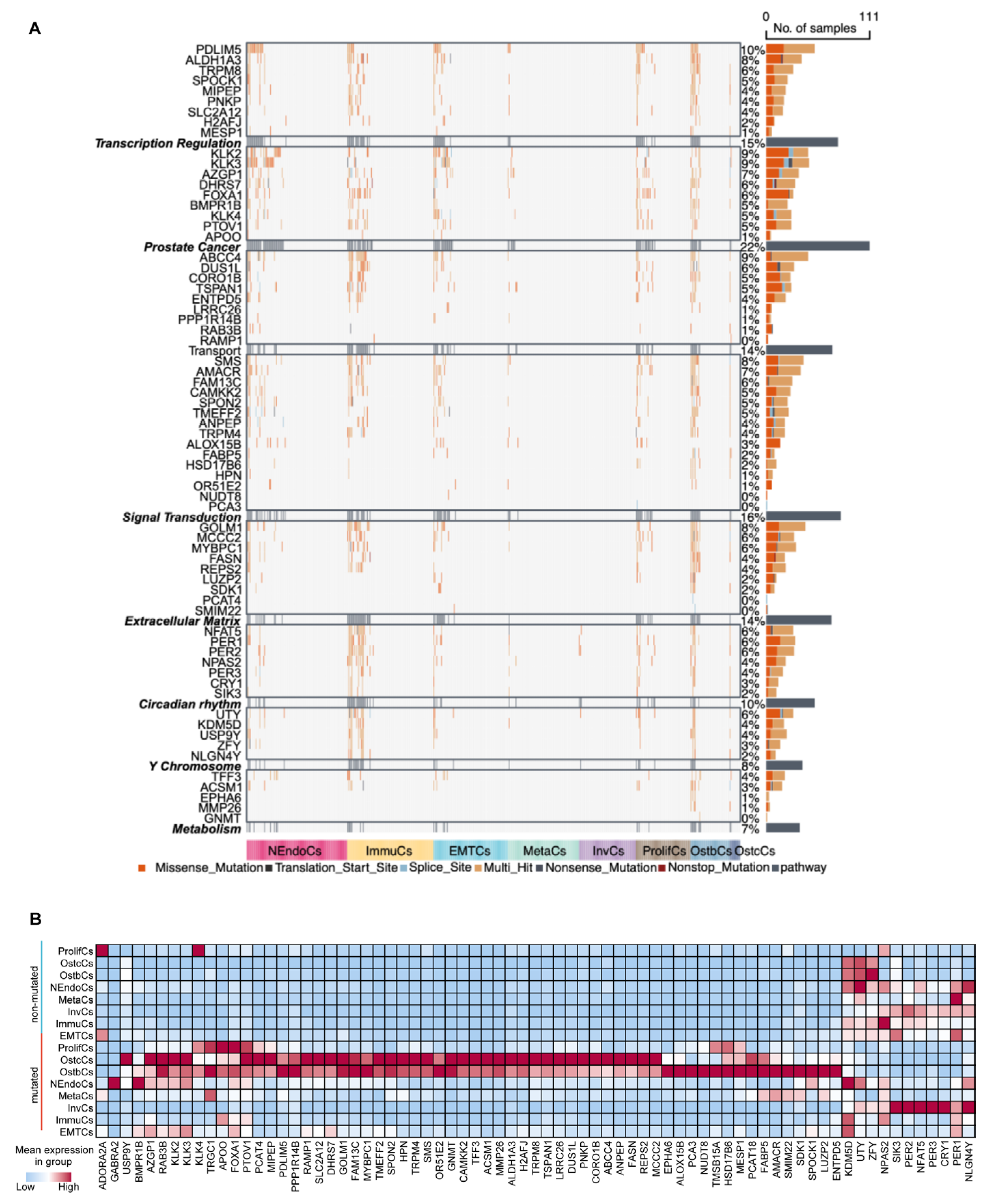 Biomedicines 13 00909 g006