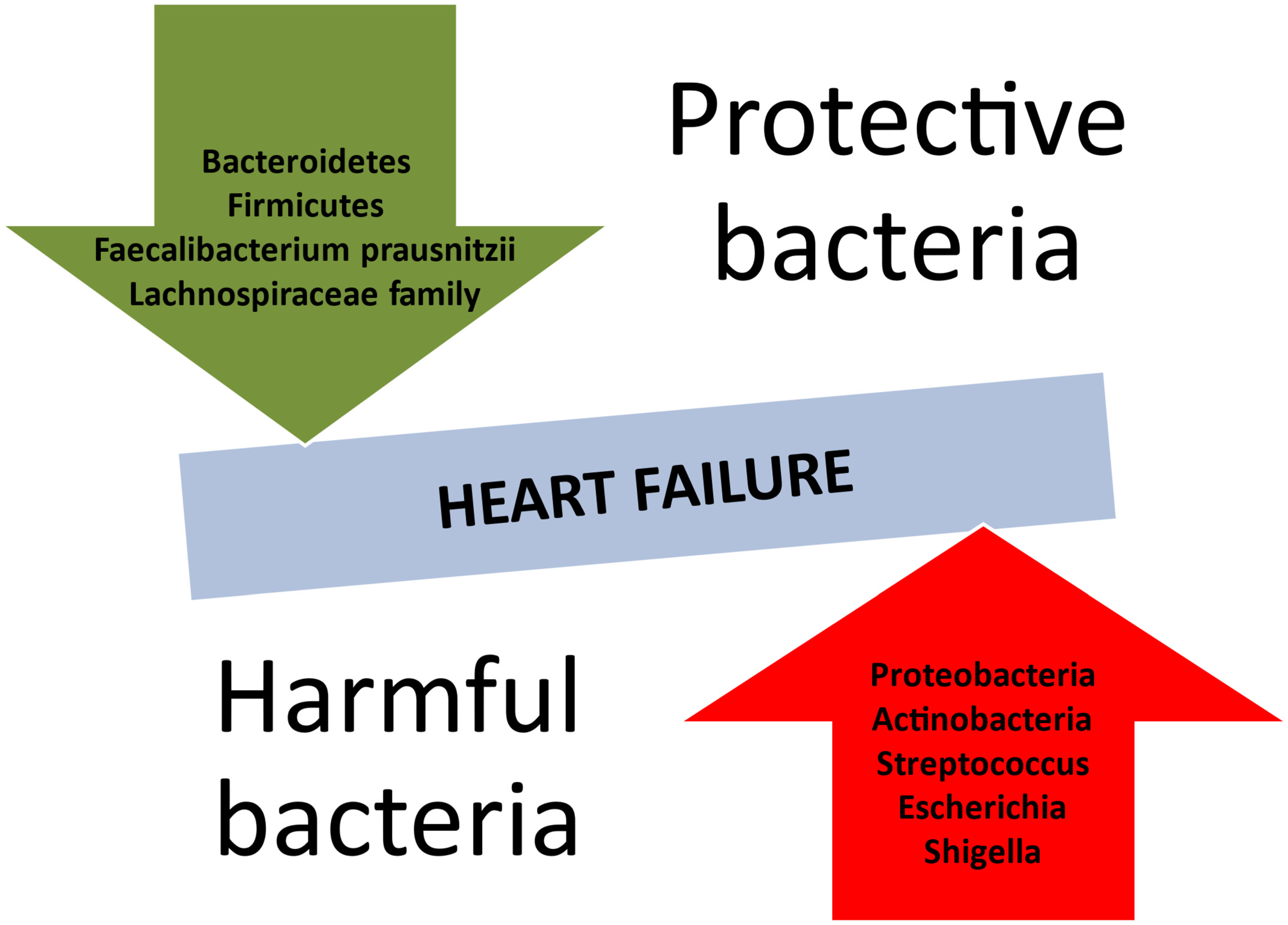 Biomedicines 13 00911 g002