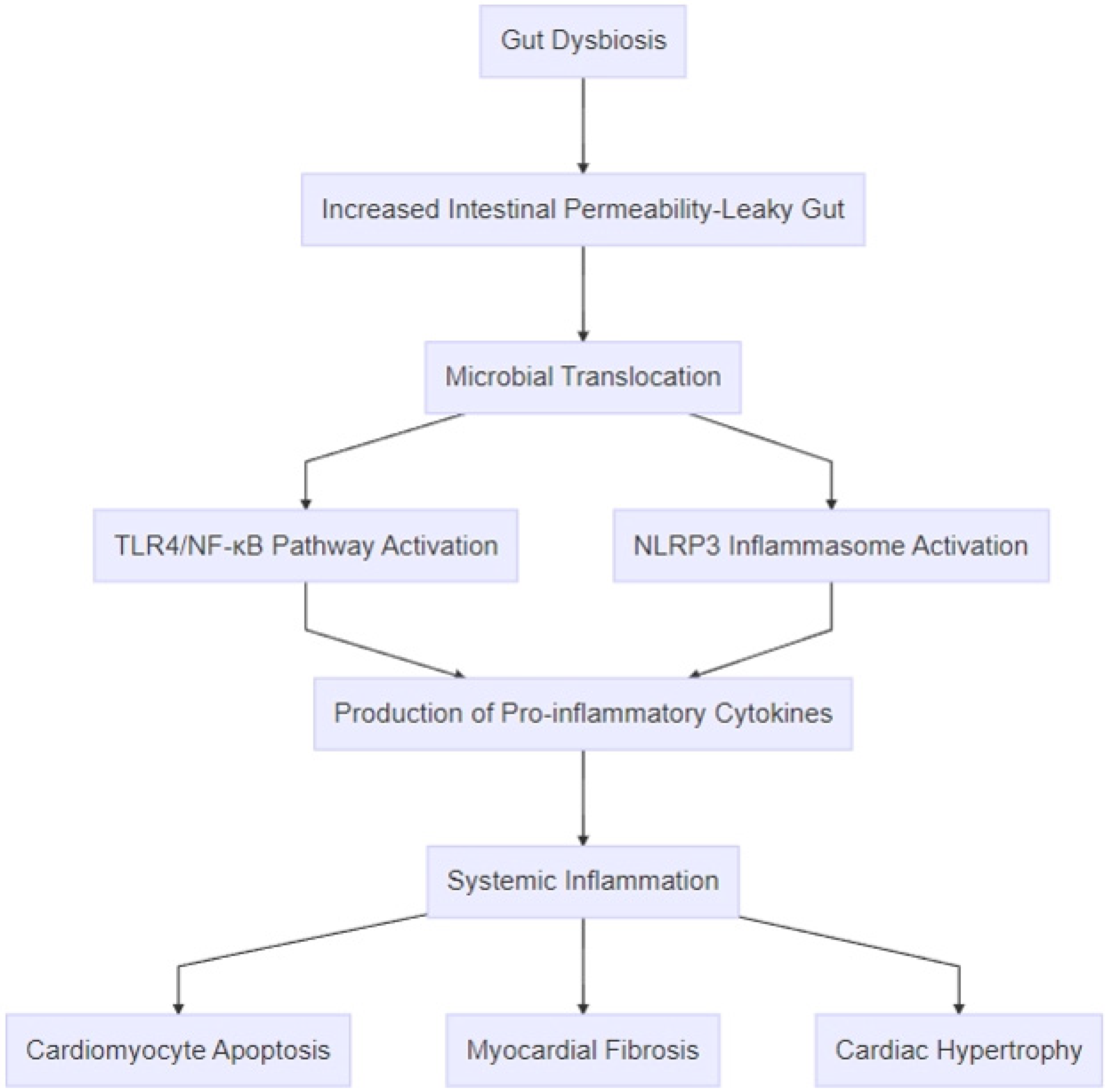 Biomedicines 13 00911 g003