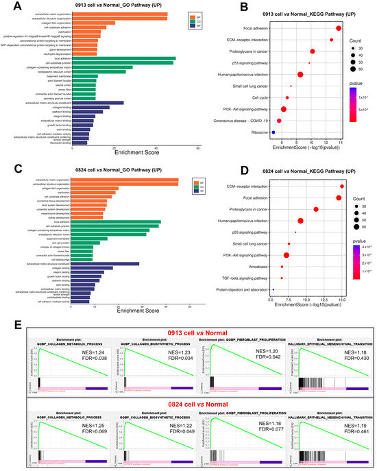 Biomedicines 13 00912 g006