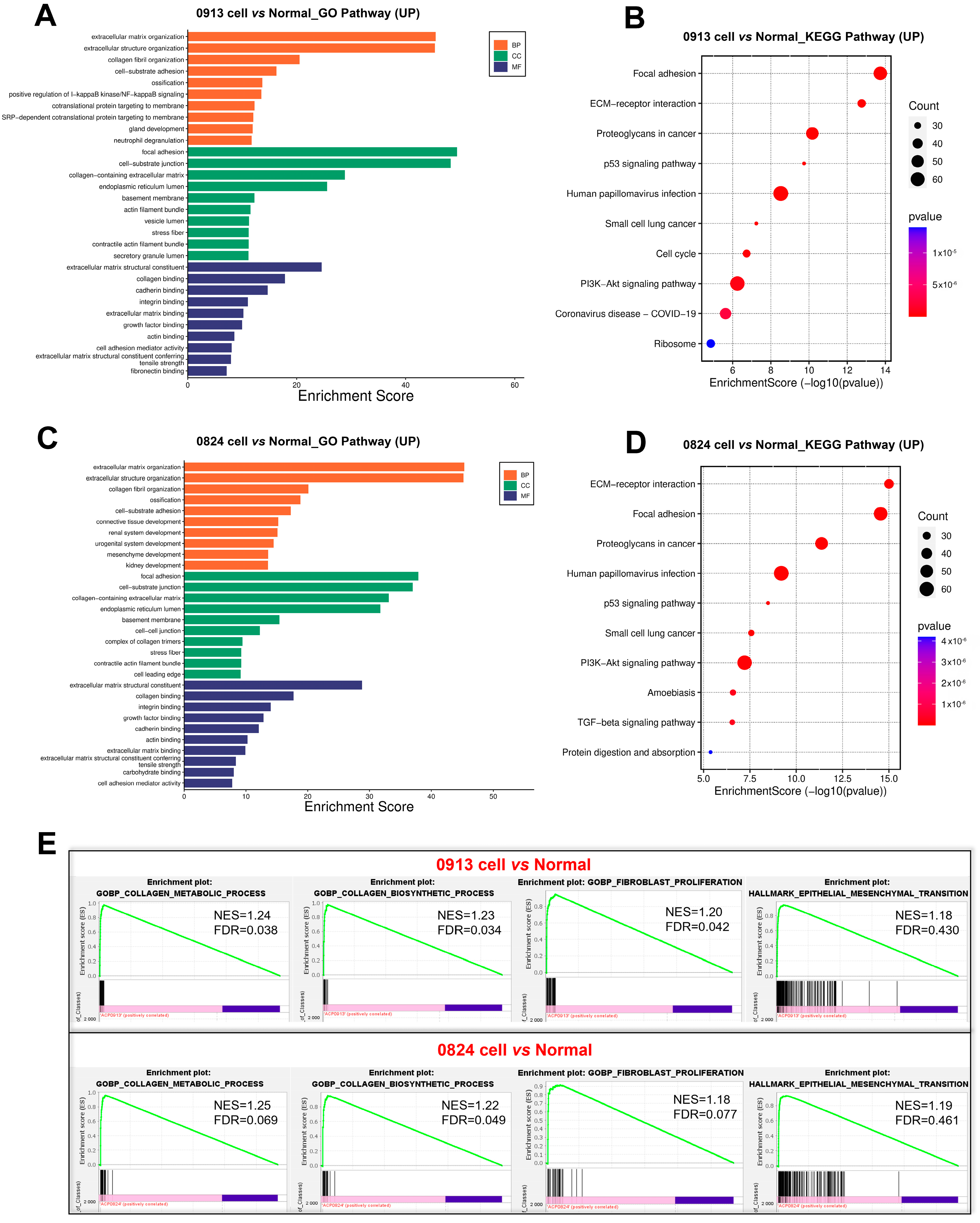 Biomedicines 13 00912 g006