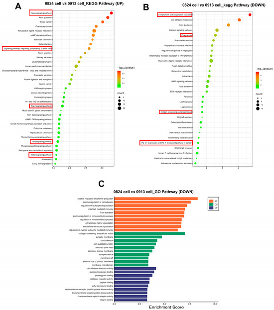 Biomedicines 13 00912 g007