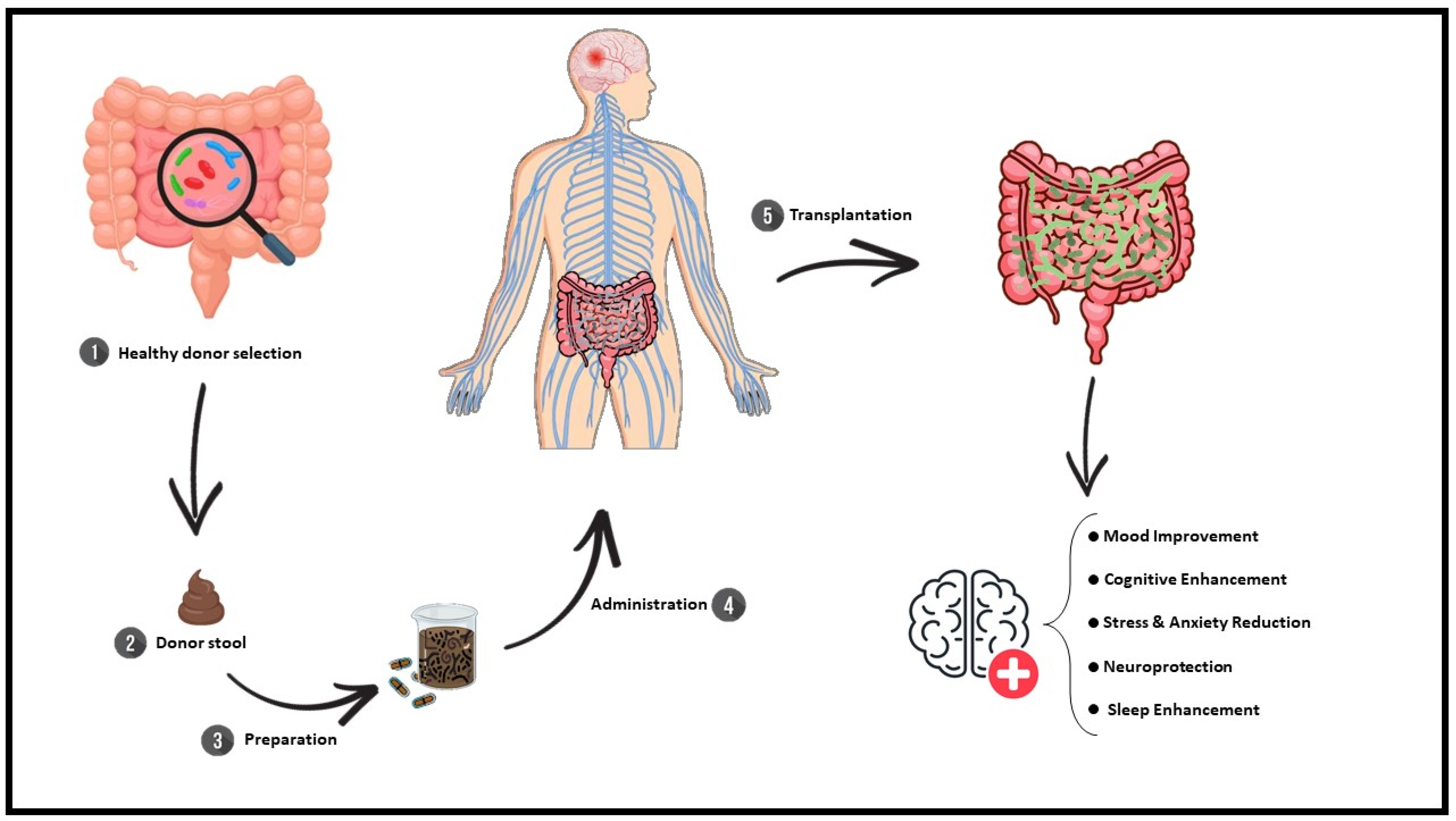 Biomedicines 13 00915 g001