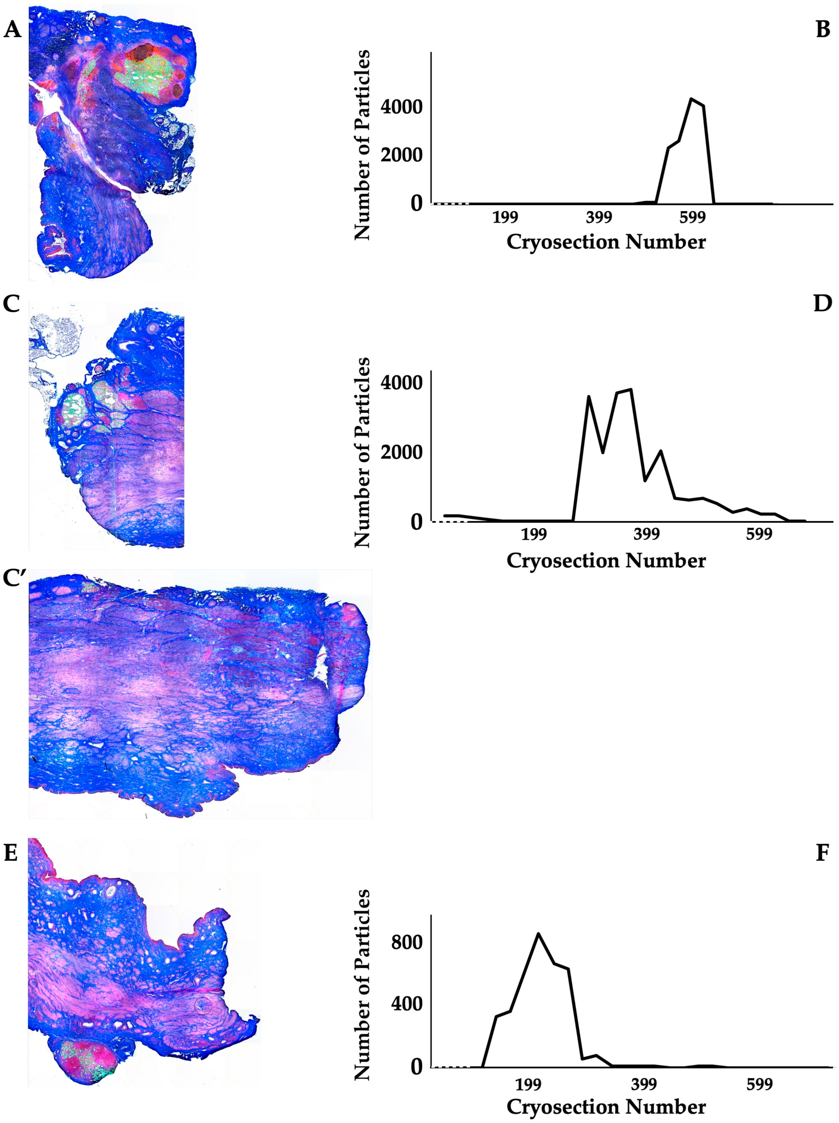 Biomedicines 13 00917 g003
