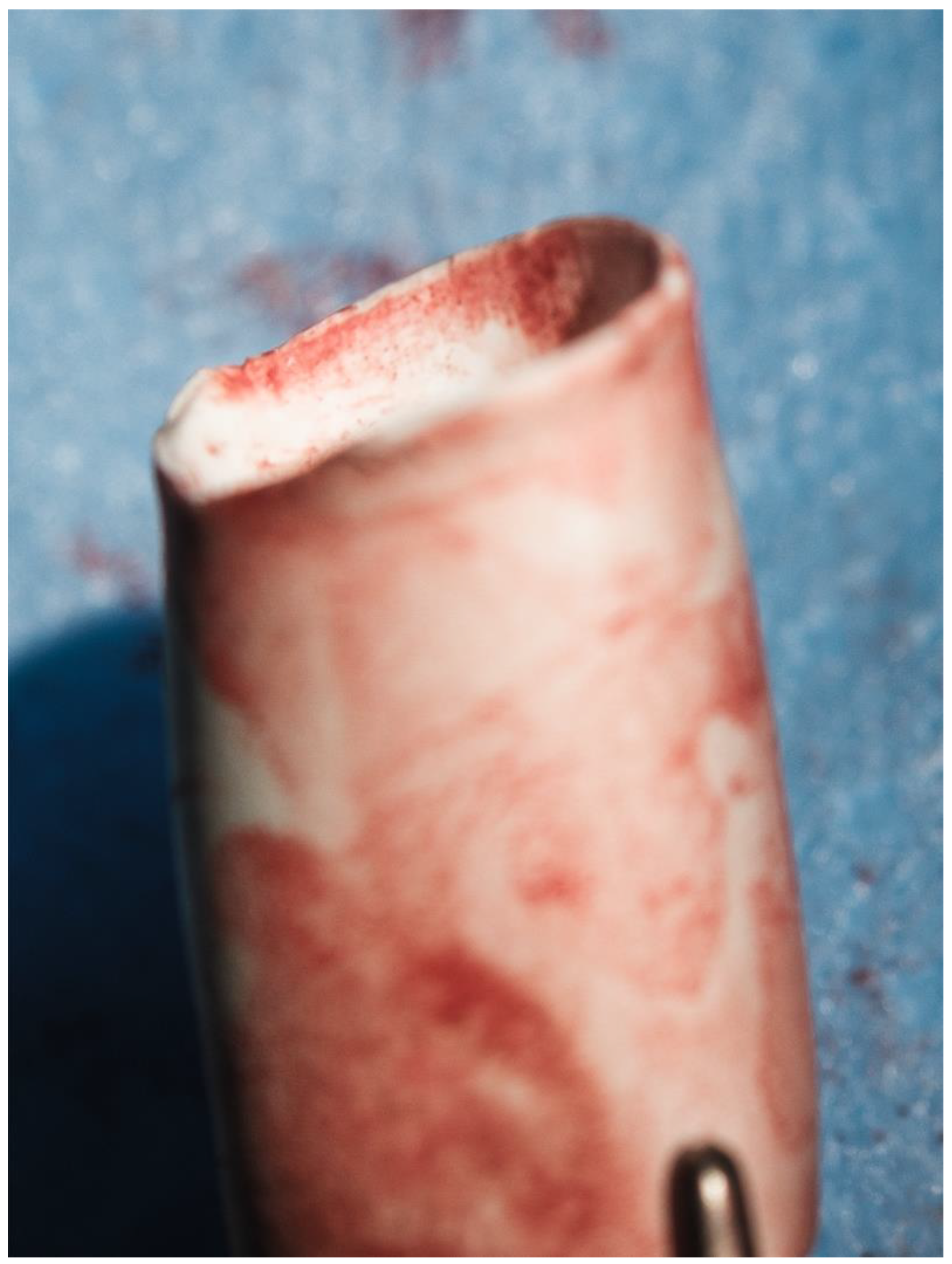 Biomedicines 13 00918 g007