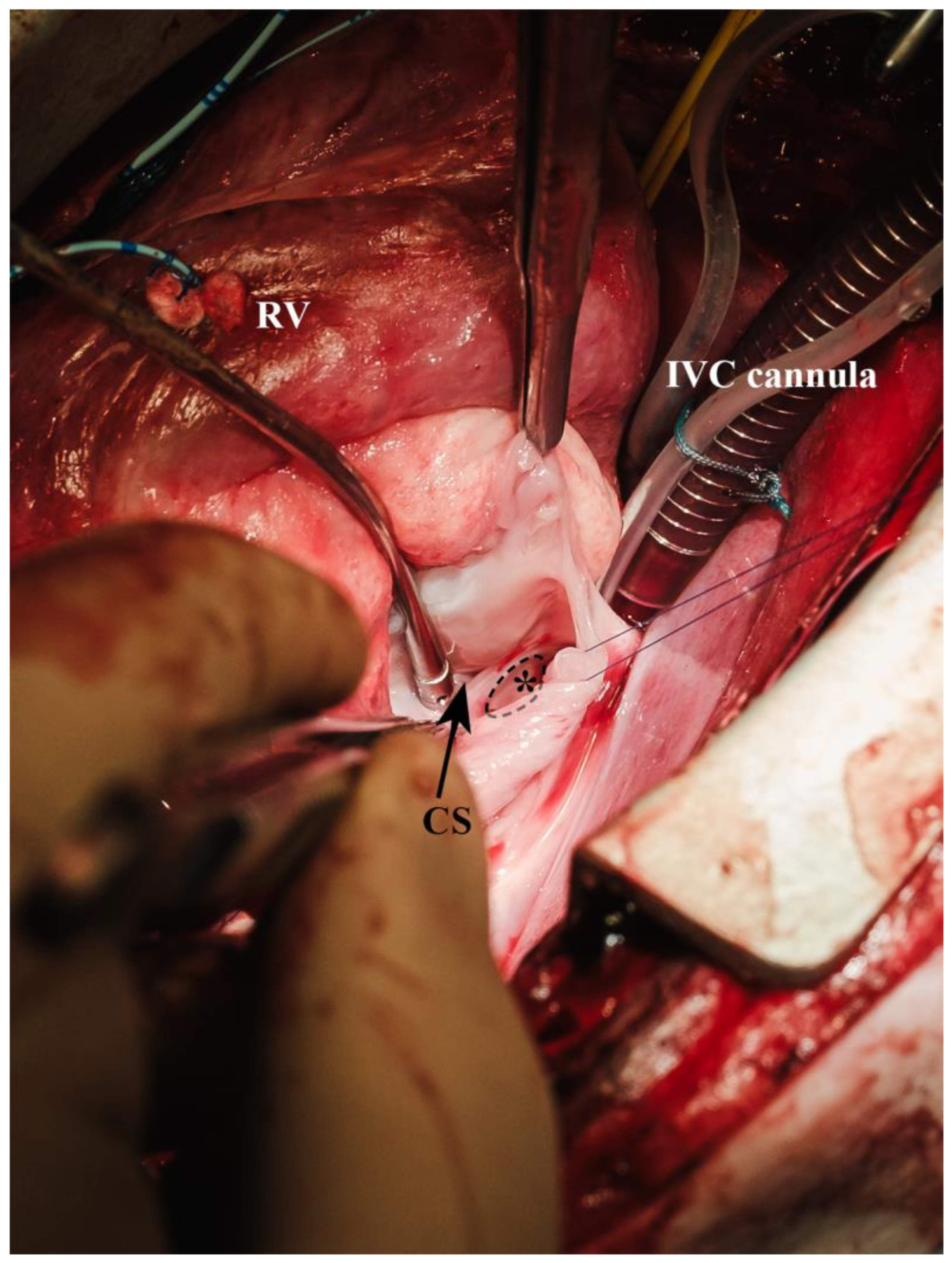 Biomedicines 13 00918 g009