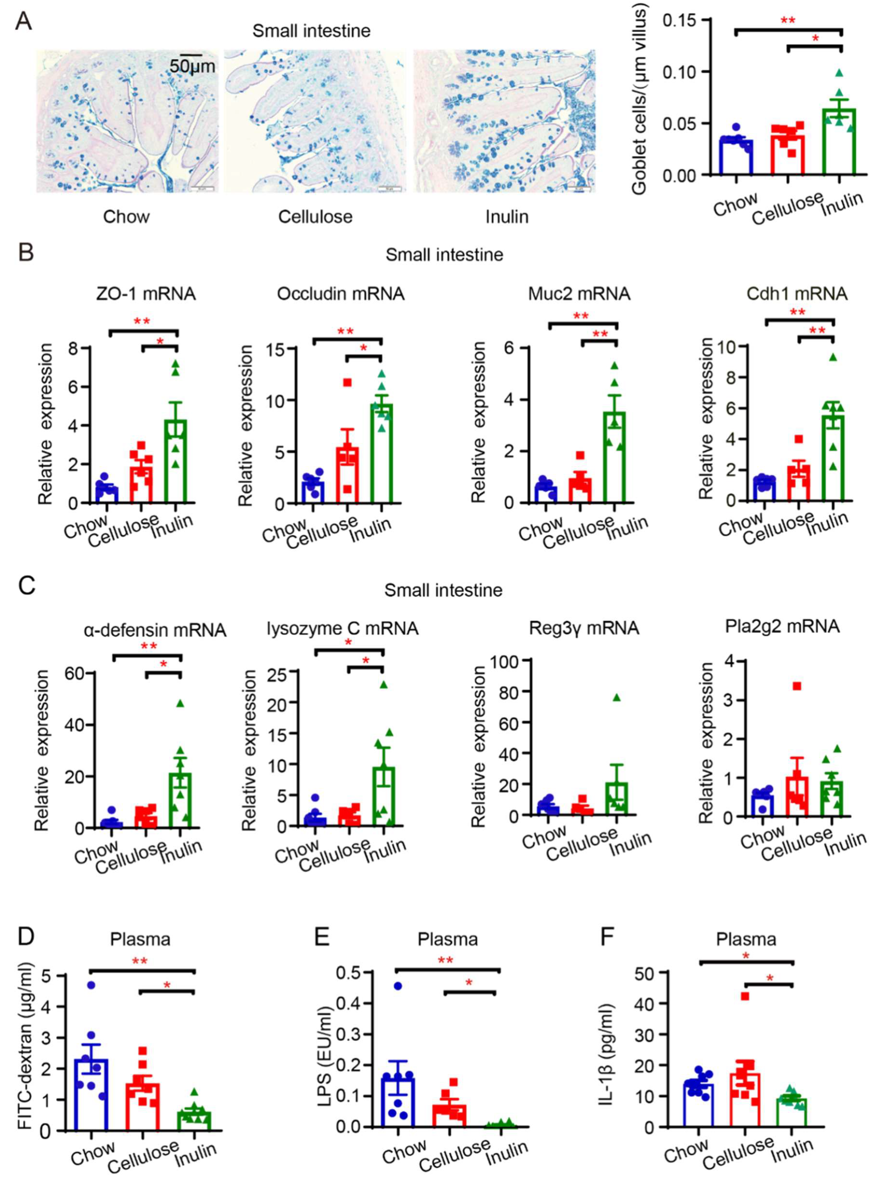 Biomedicines 13 00920 g004