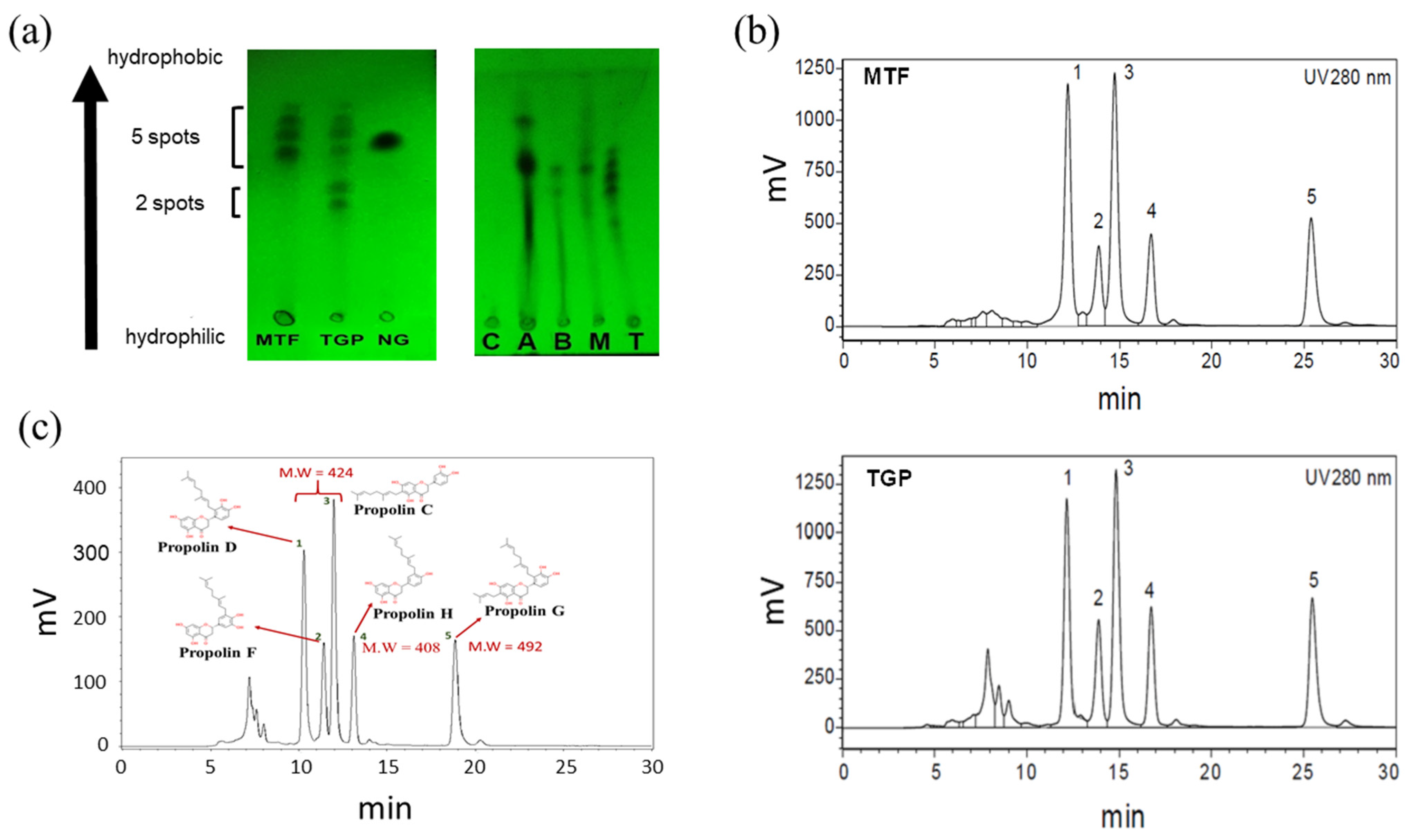 Biomedicines 13 00921 g001