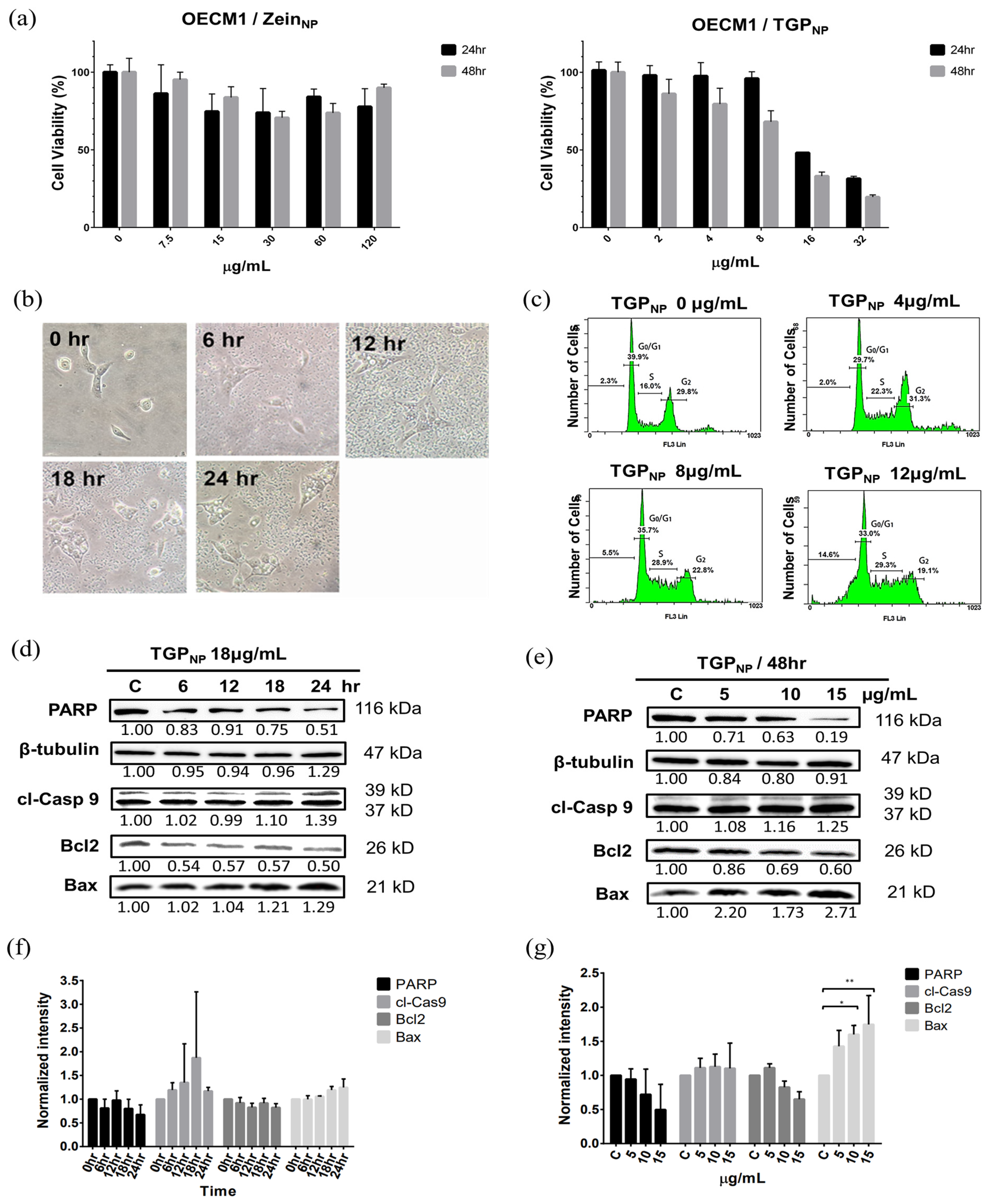 Biomedicines 13 00921 g005