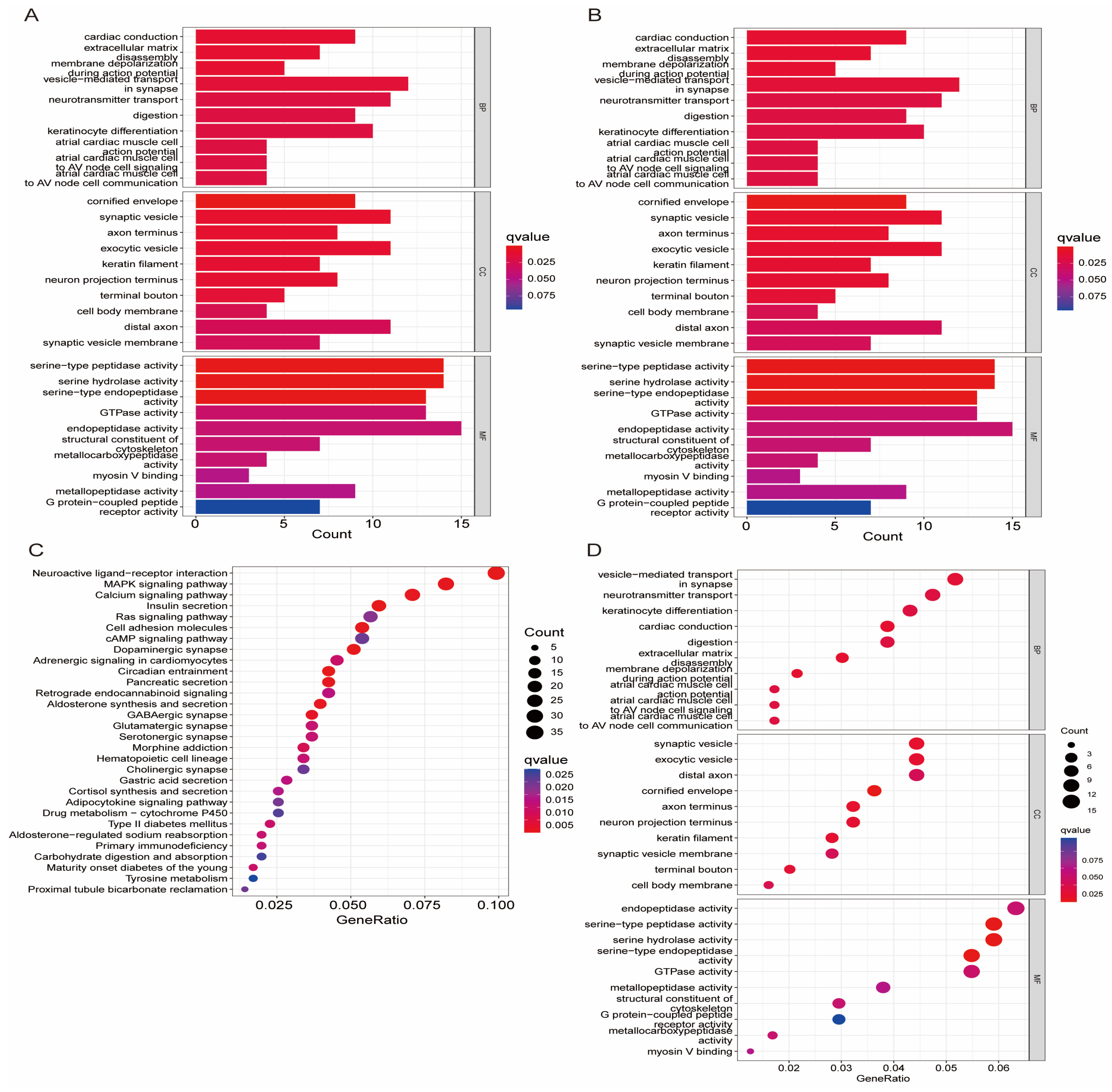 Biomedicines 13 00924 g004