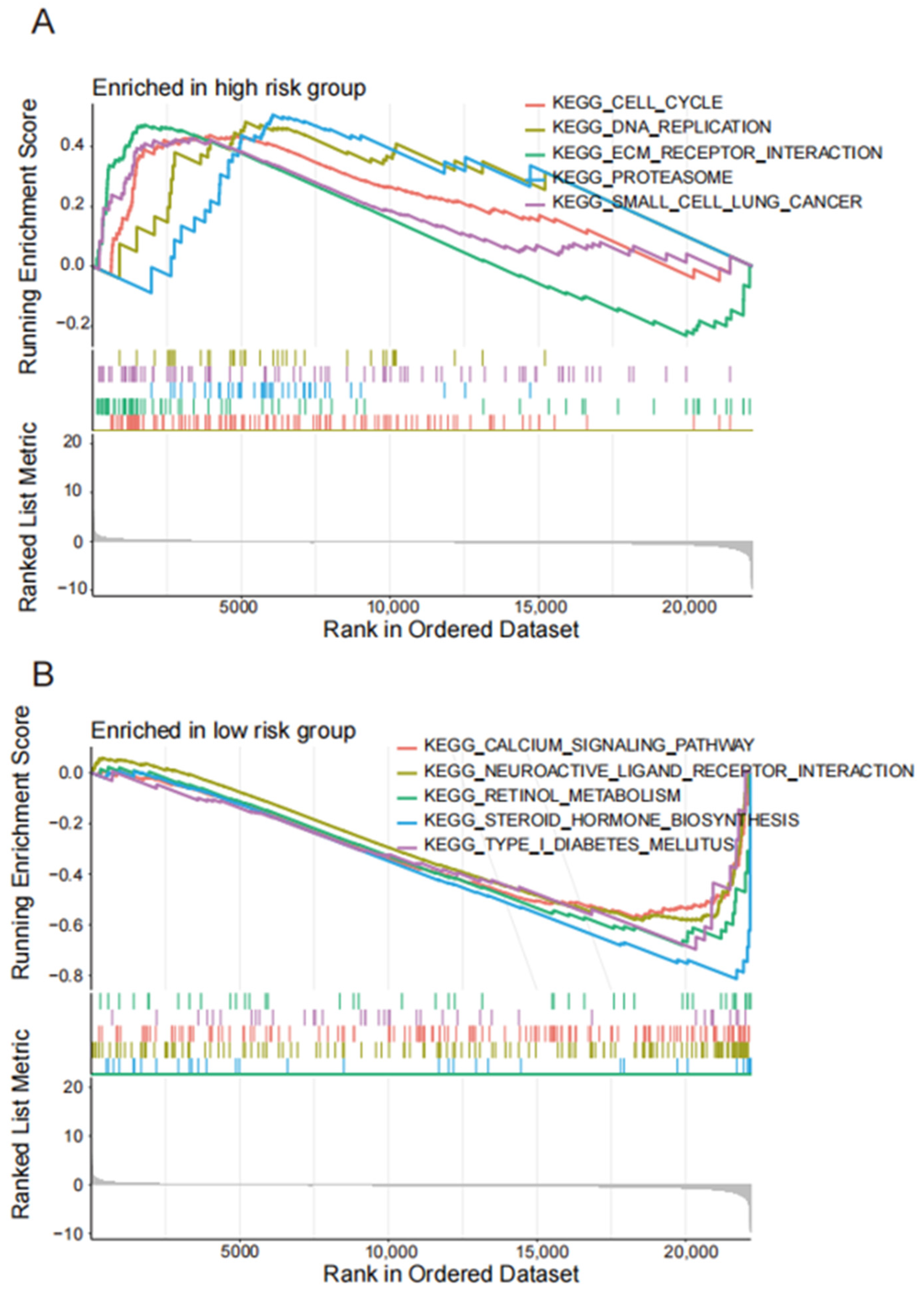 Biomedicines 13 00924 g005