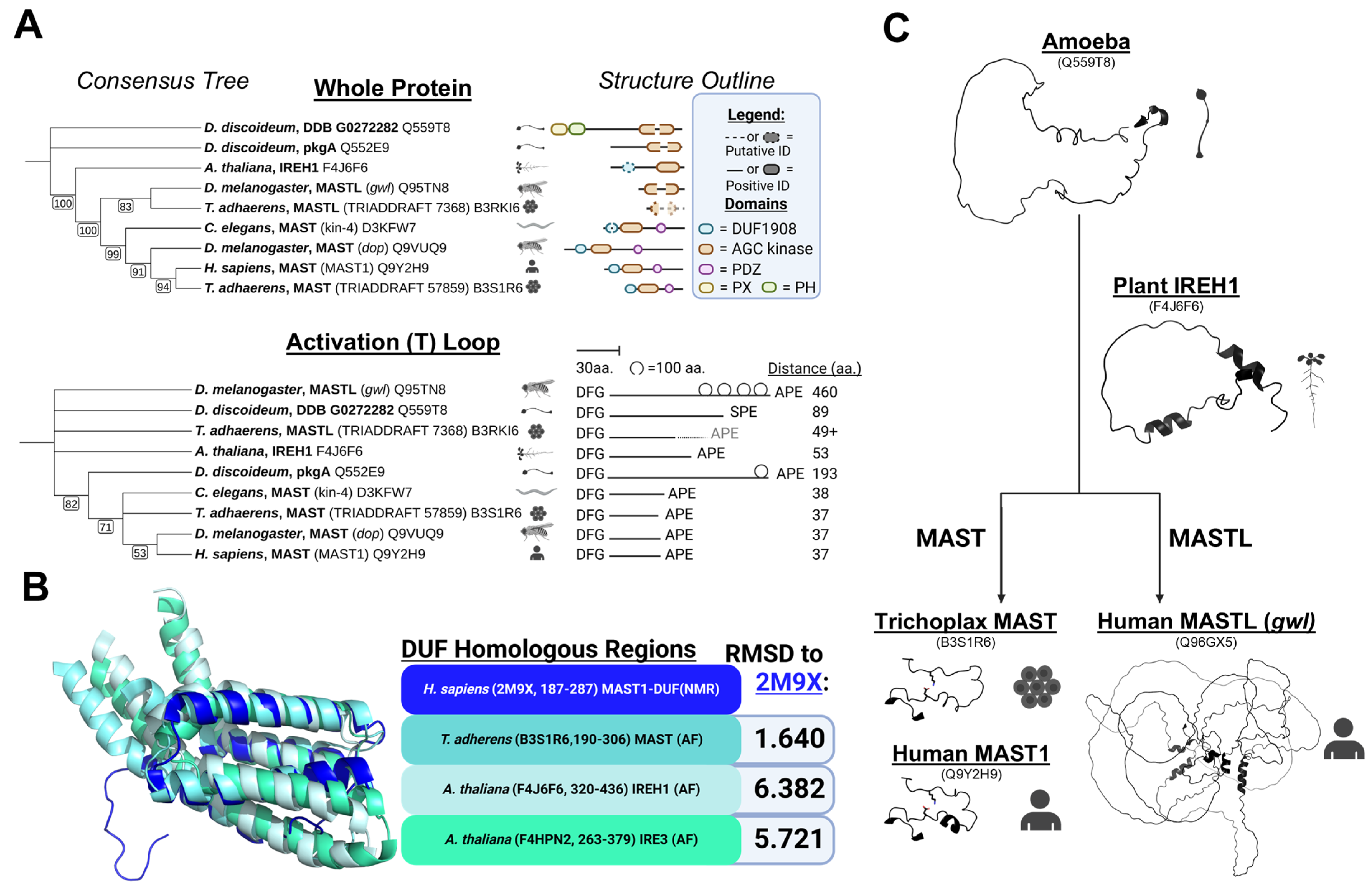 Biomedicines 13 00925 g001