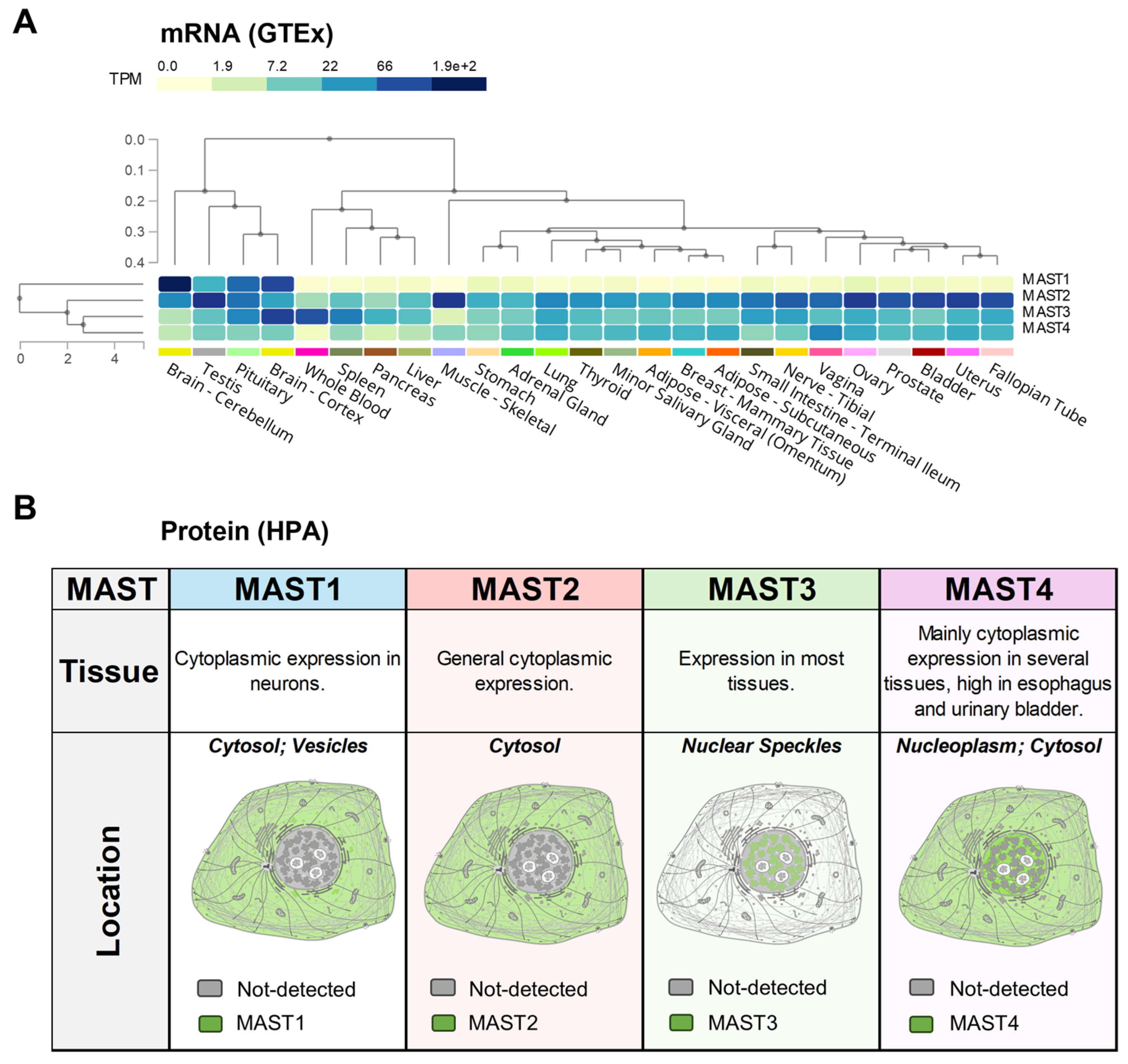 Biomedicines 13 00925 g003