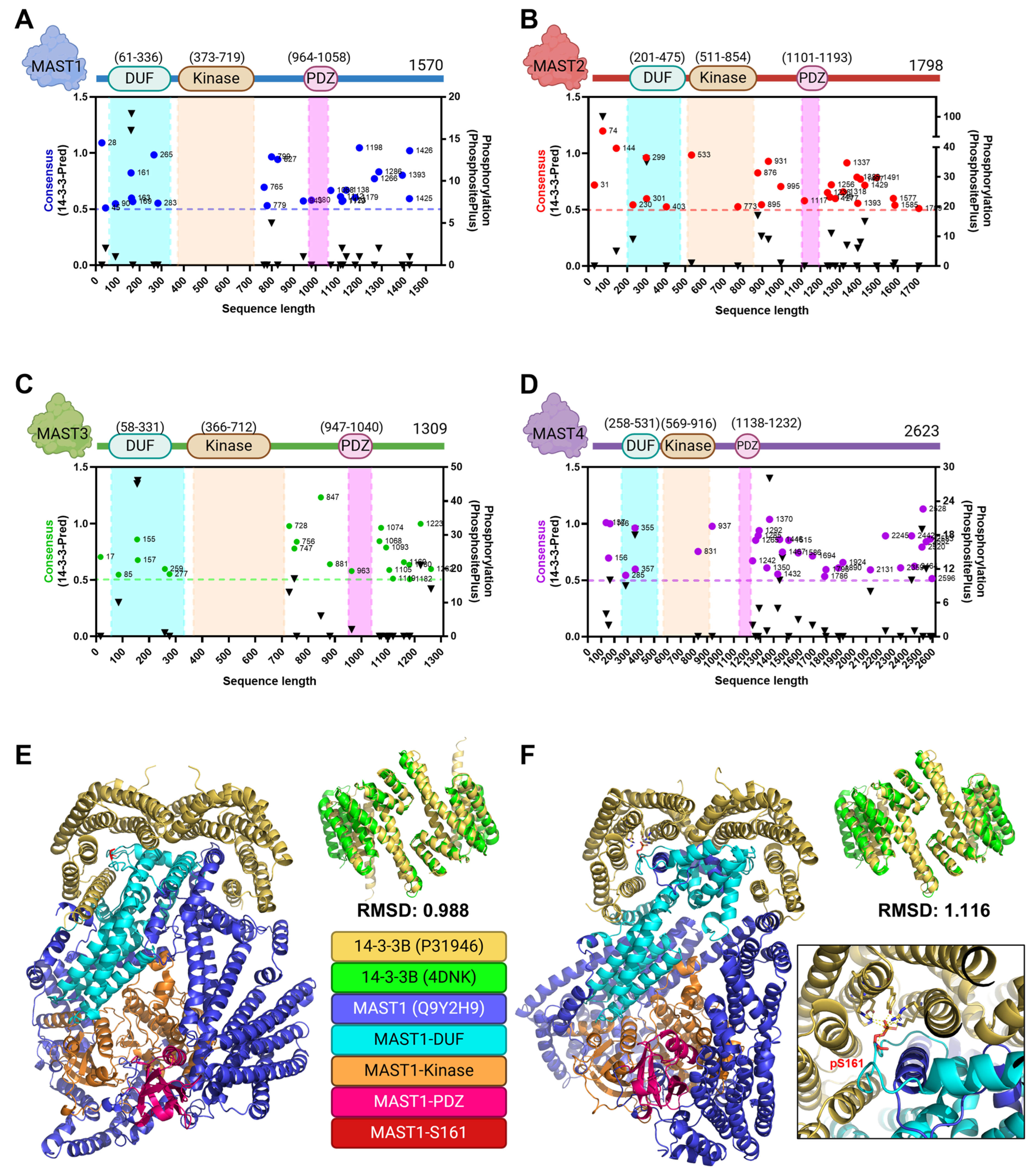 Biomedicines 13 00925 g005
