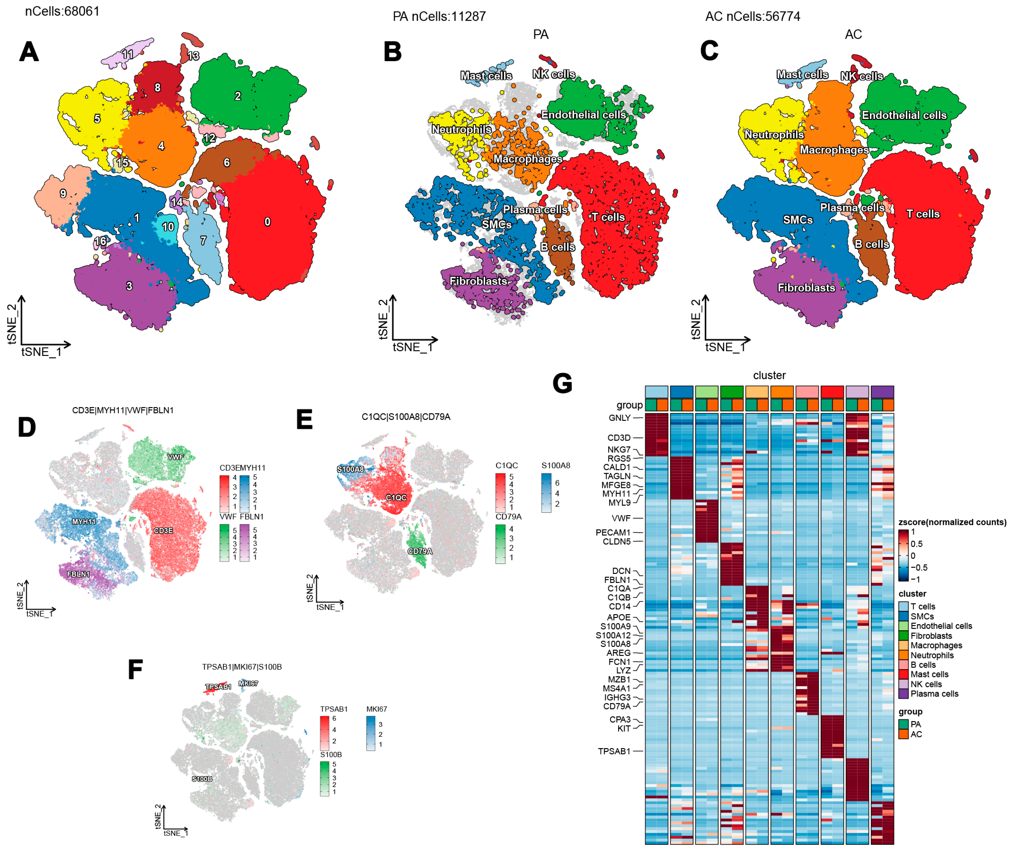 Biomedicines 13 00926 g001
