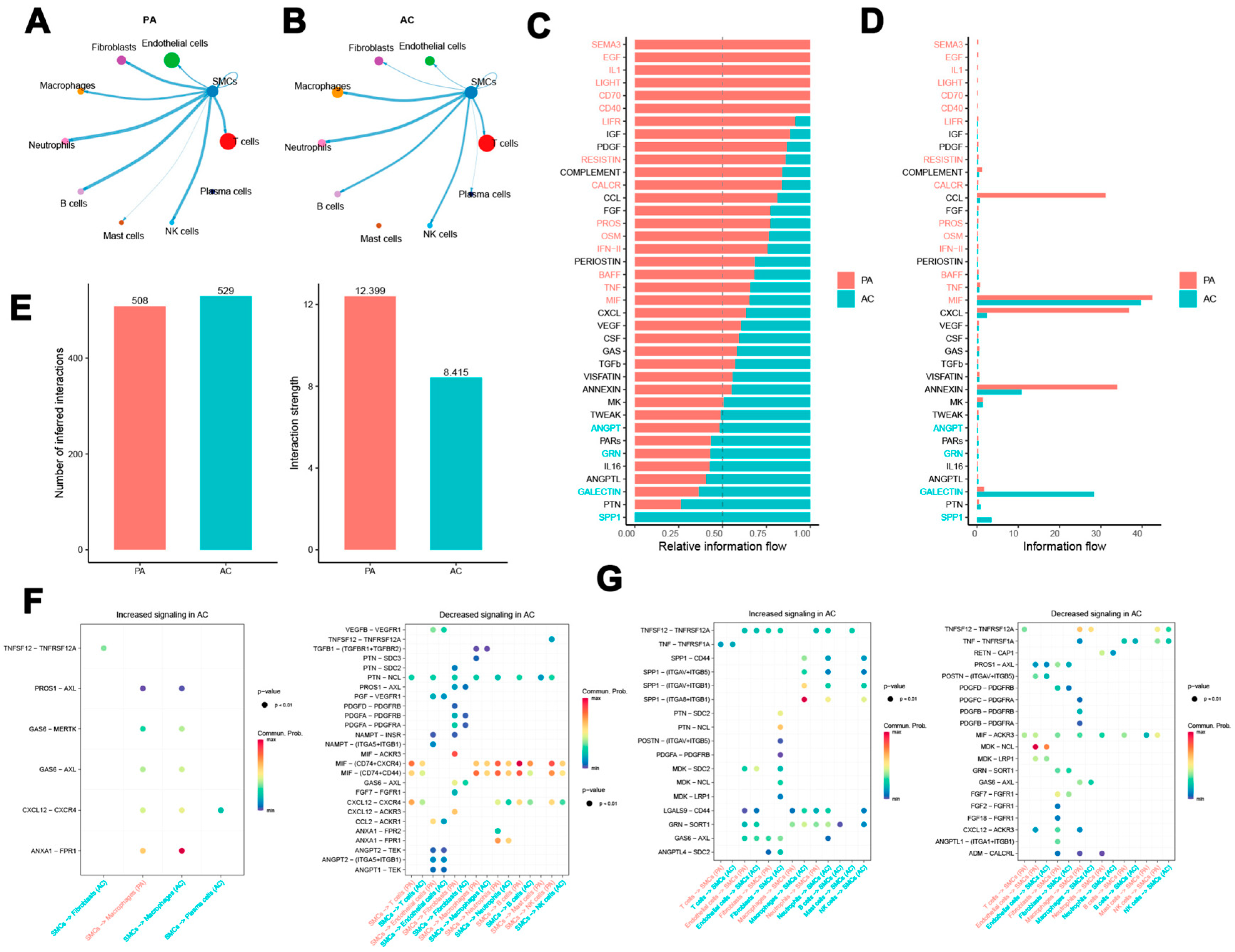 Biomedicines 13 00926 g002