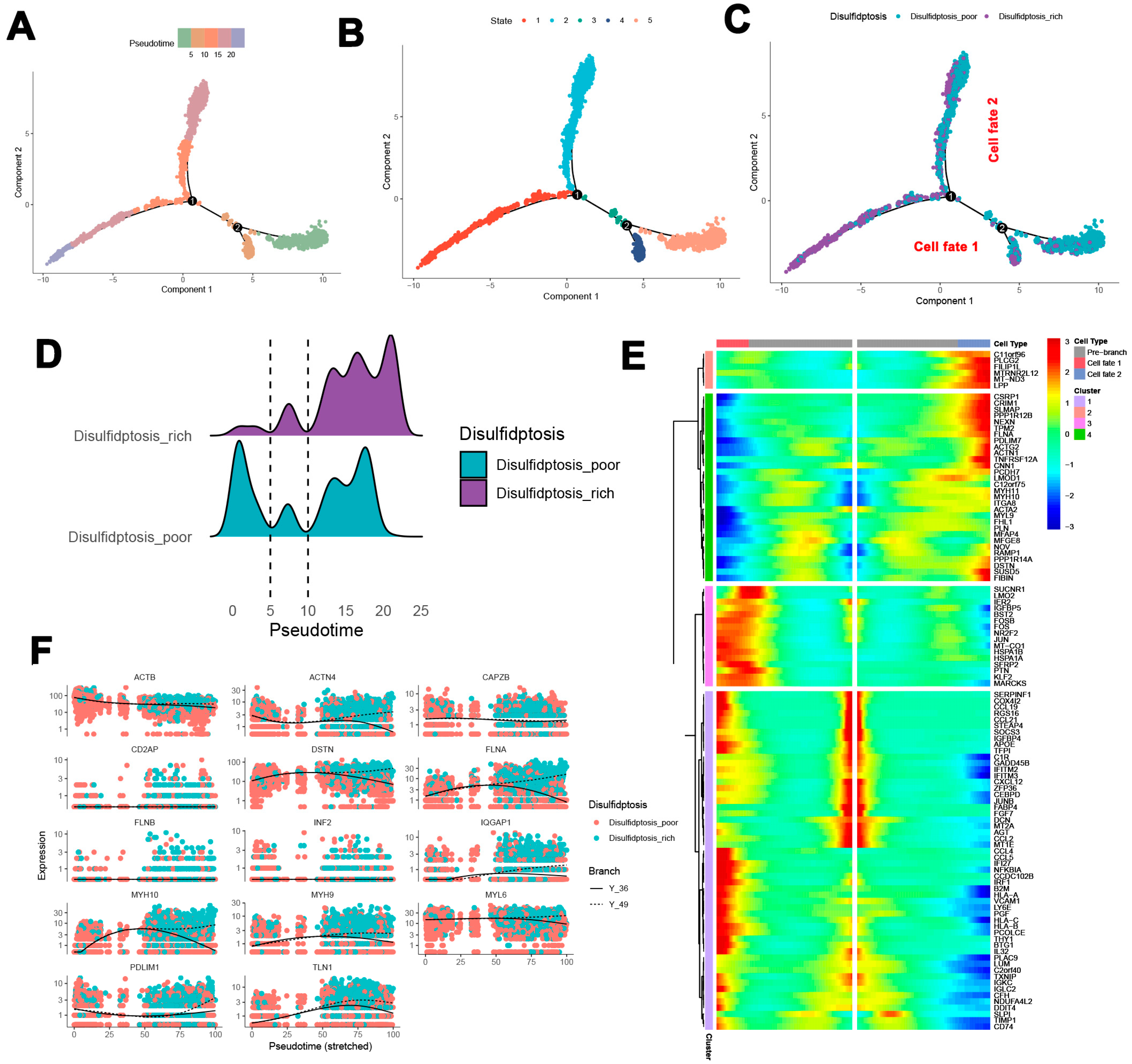 Biomedicines 13 00926 g005