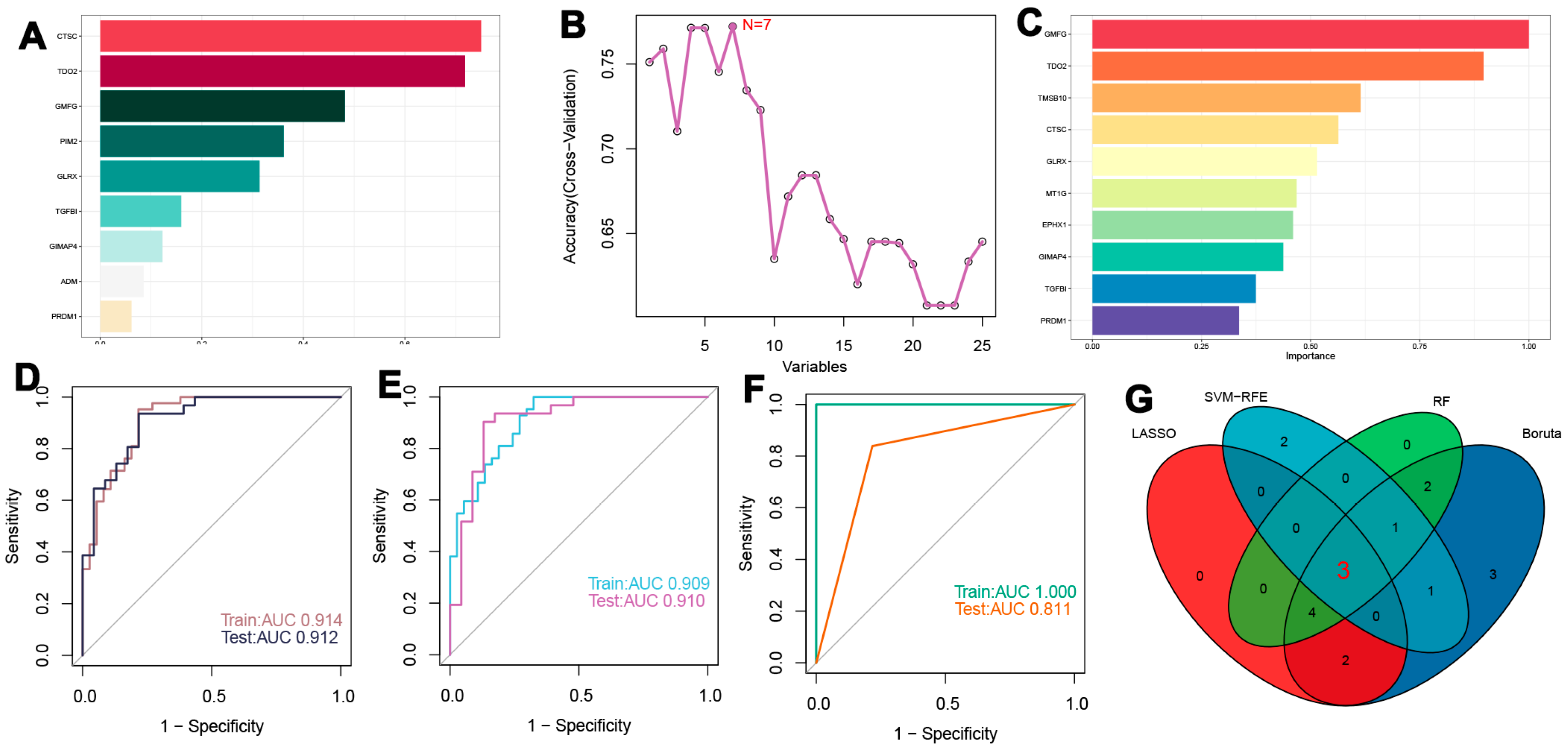Biomedicines 13 00926 g007