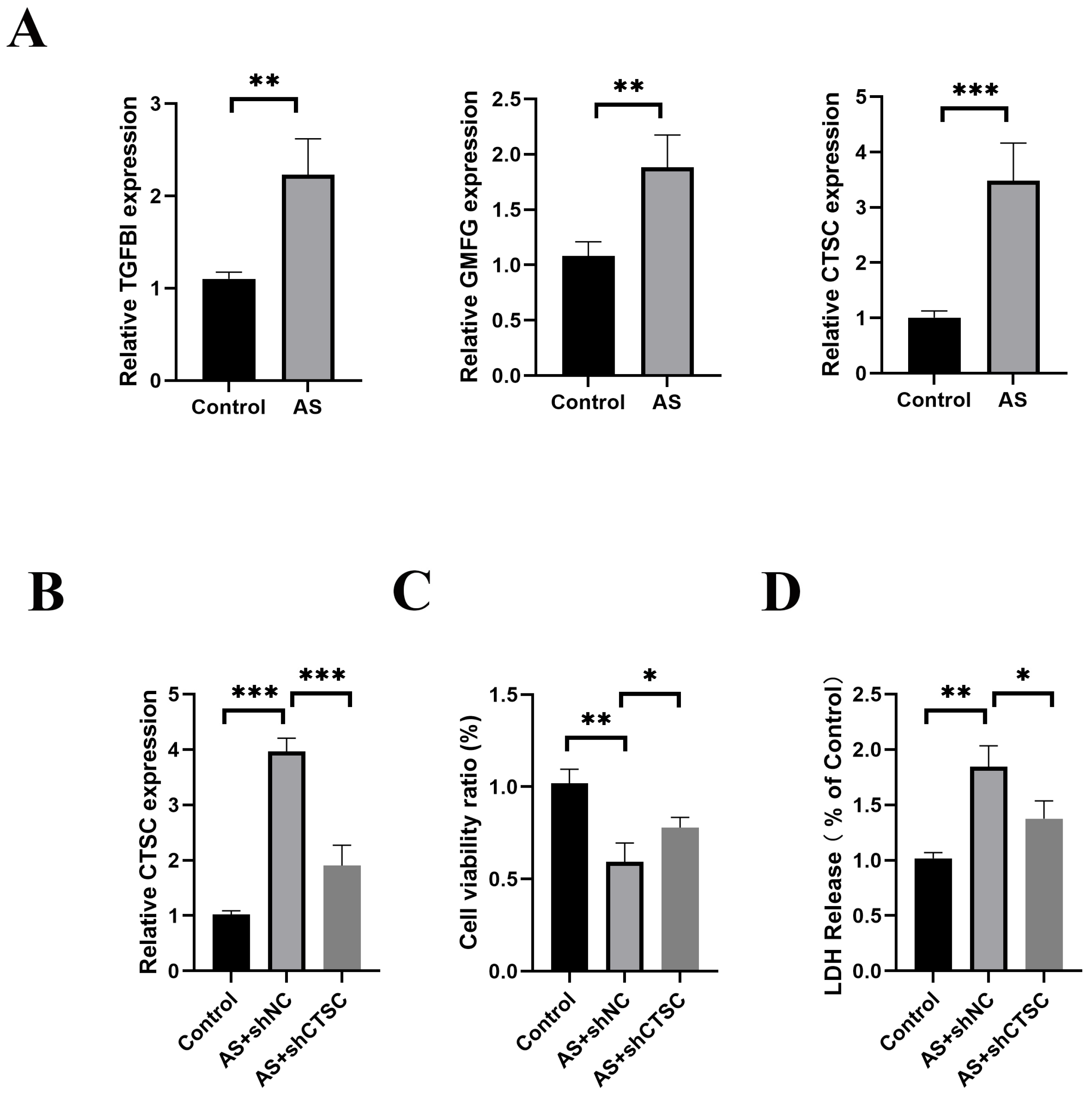 Biomedicines 13 00926 g011
