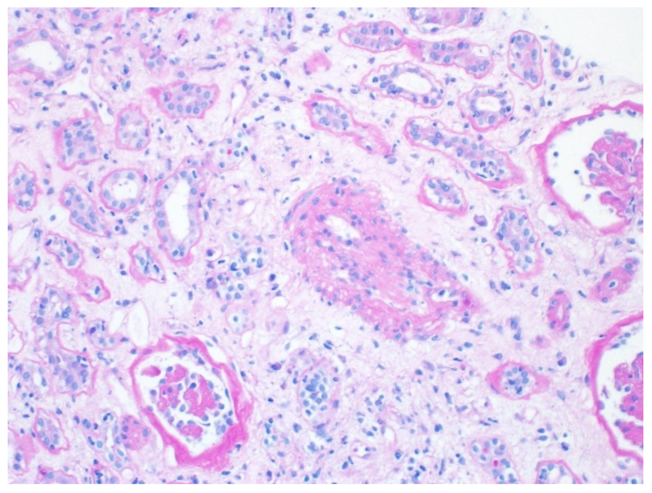 Biomedicines 13 00929 g002