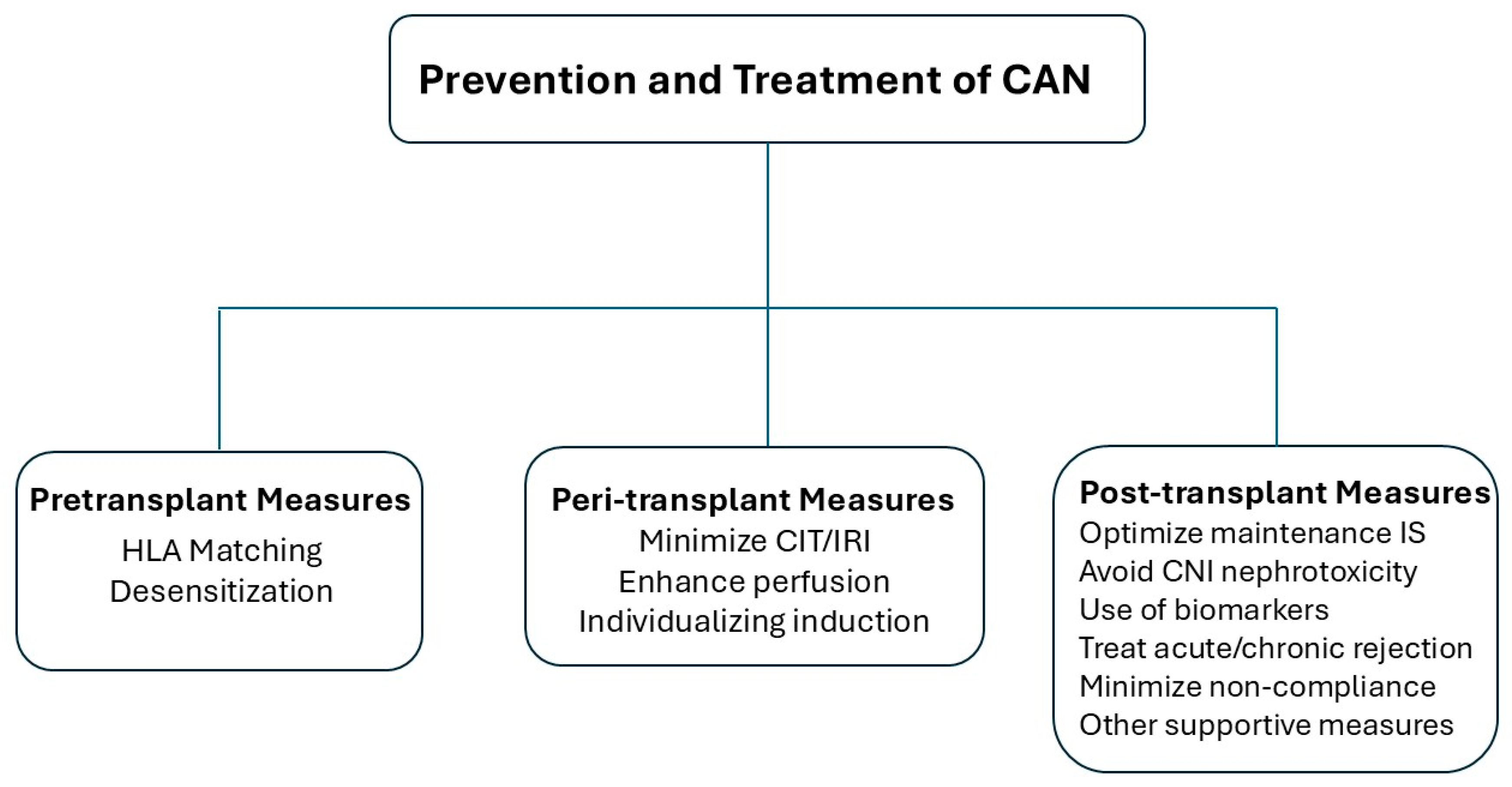 Biomedicines 13 00929 g003