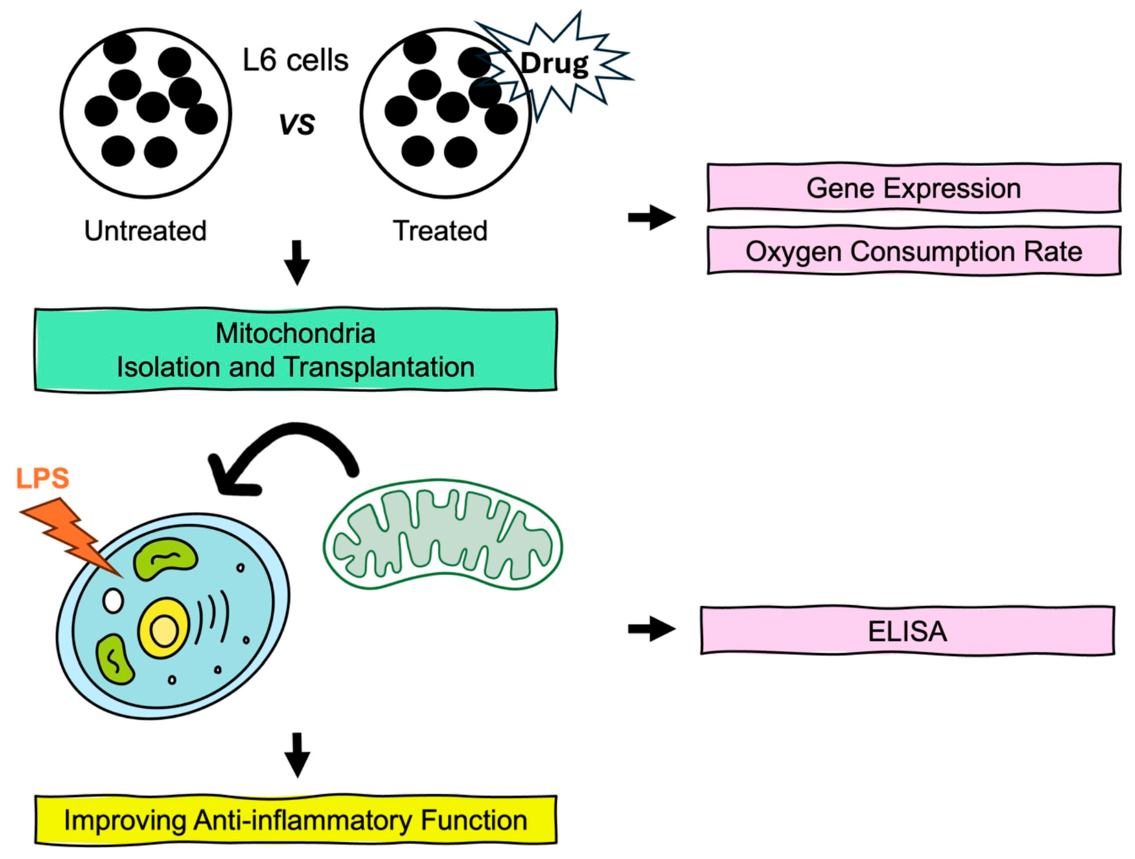Biomedicines 13 00934 g001