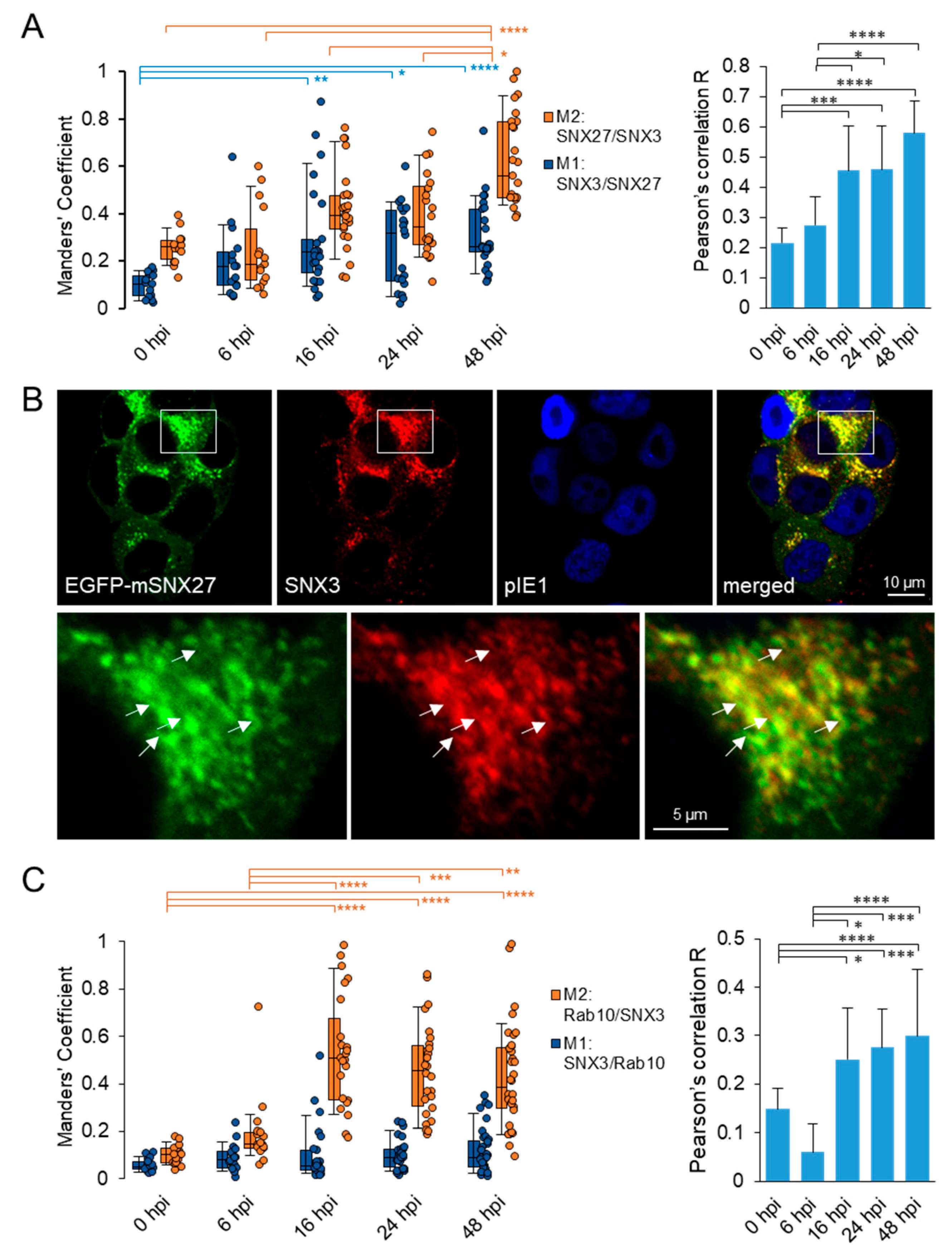 Biomedicines 13 00936 g003