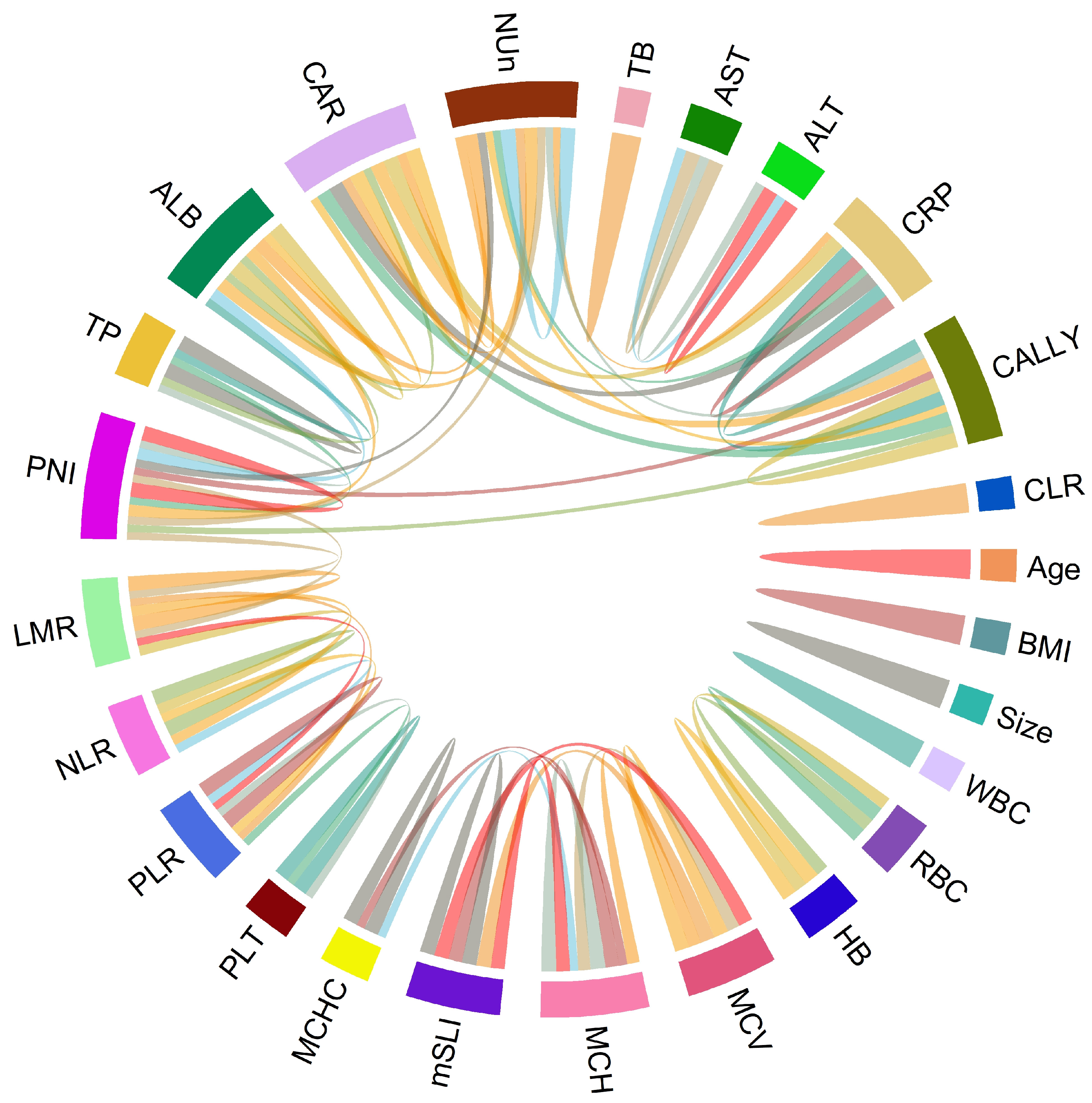 Biomedicines 13 00937 g001