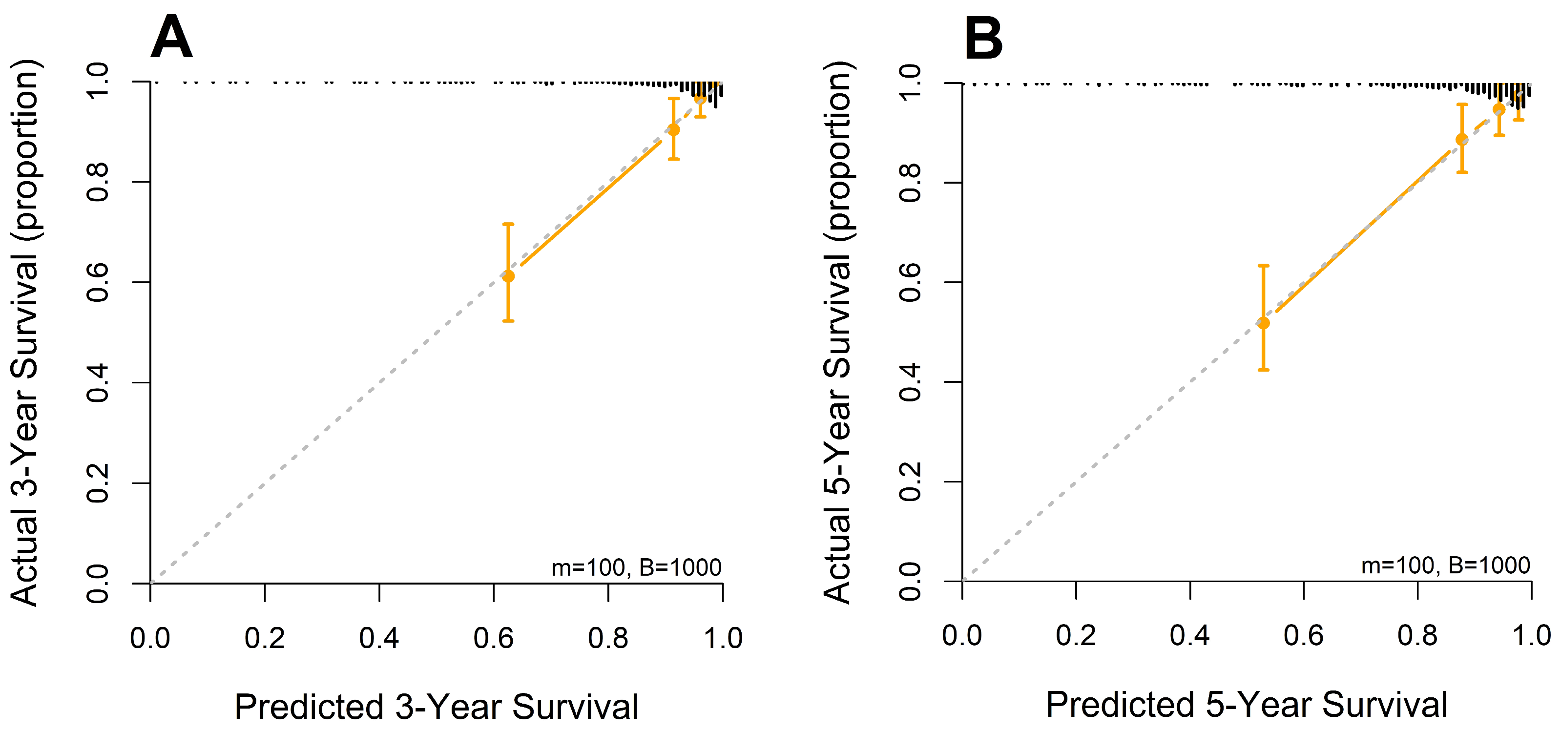 Biomedicines 13 00937 g007