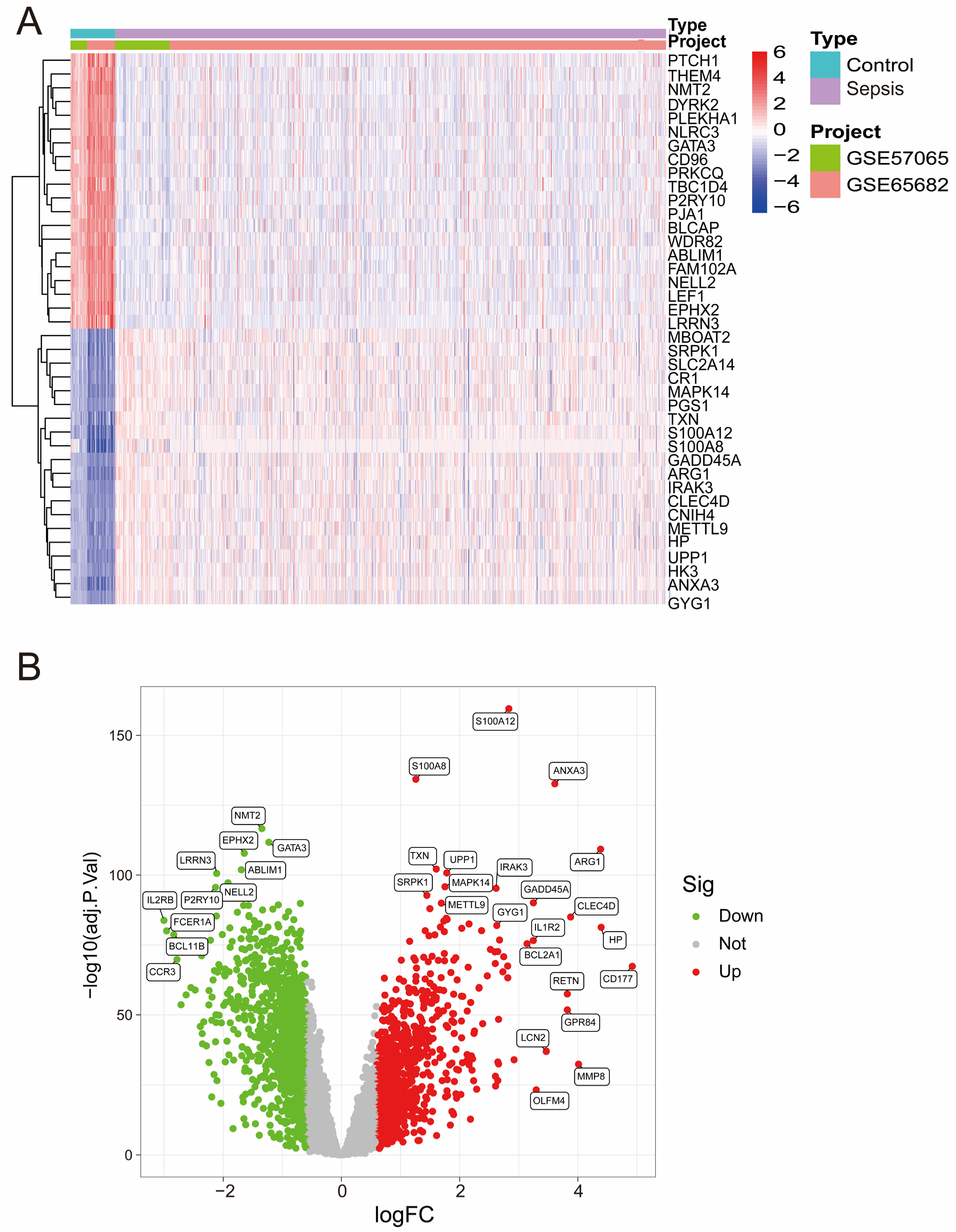 Biomedicines 13 00942 g001